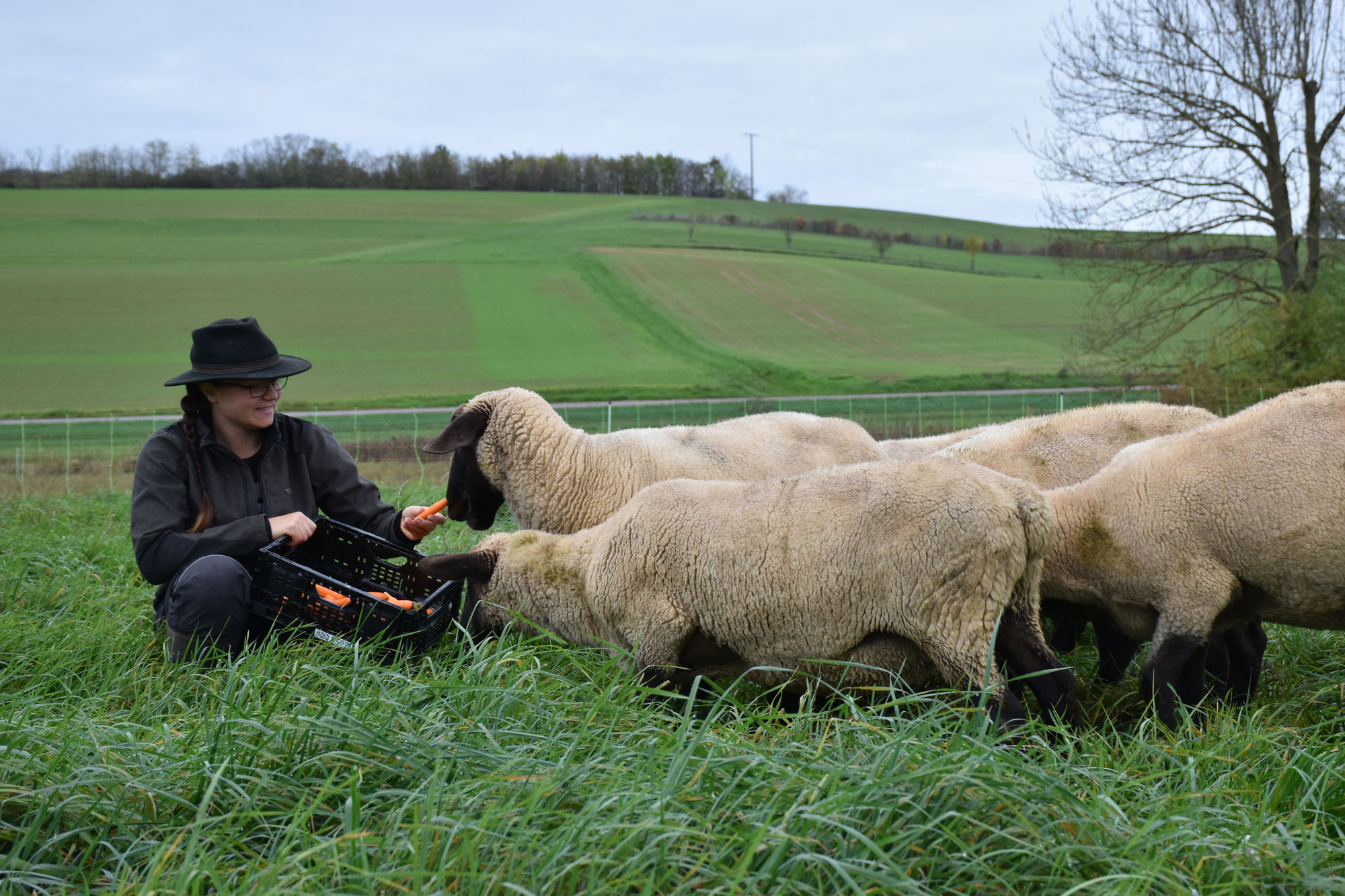 Unsere Futter-Mist-Kooperation für Bodenfruchtbarkeit und einen möglichst geschlossenen Nährstoffkreislauf