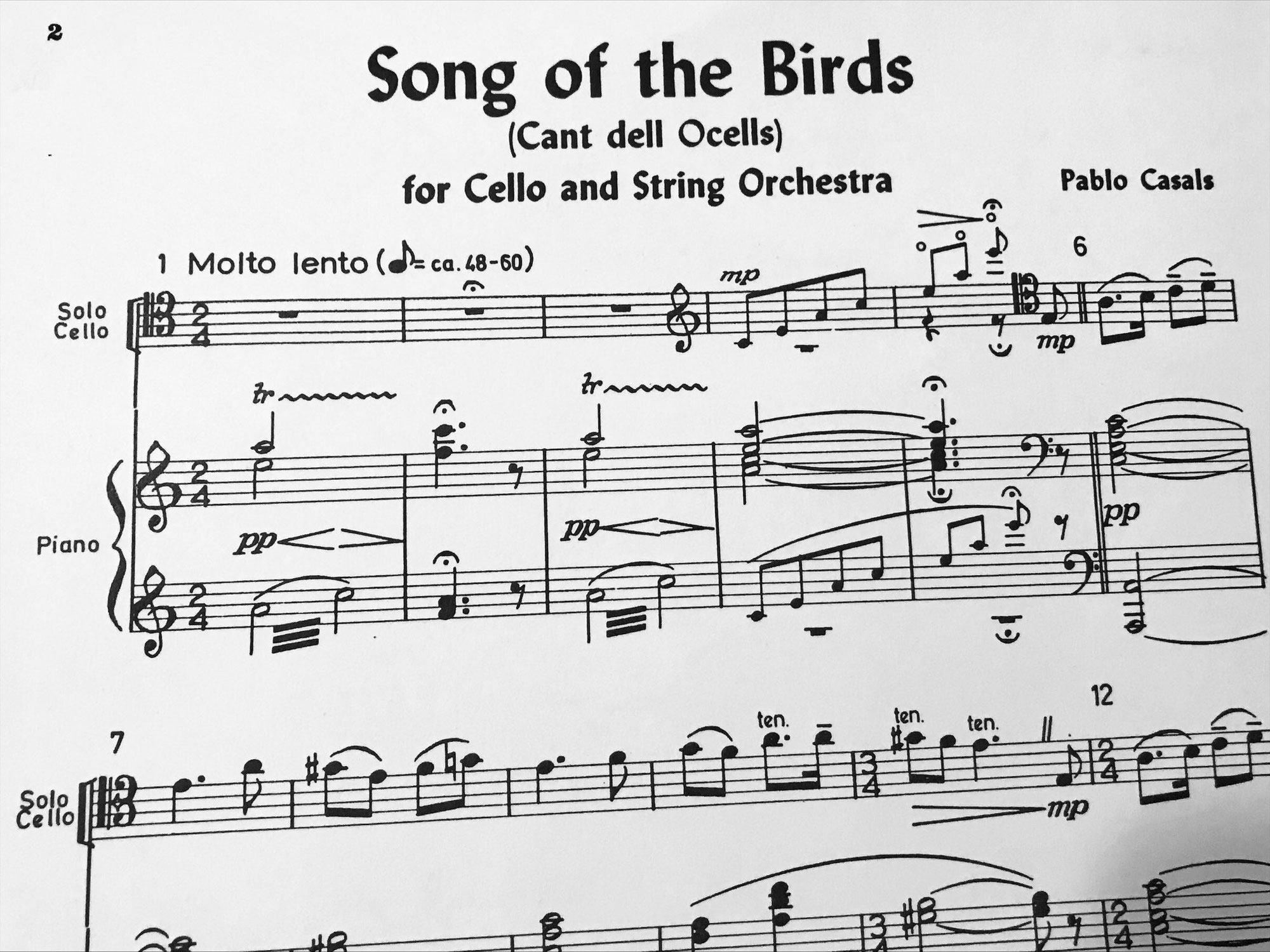 Song of the birds