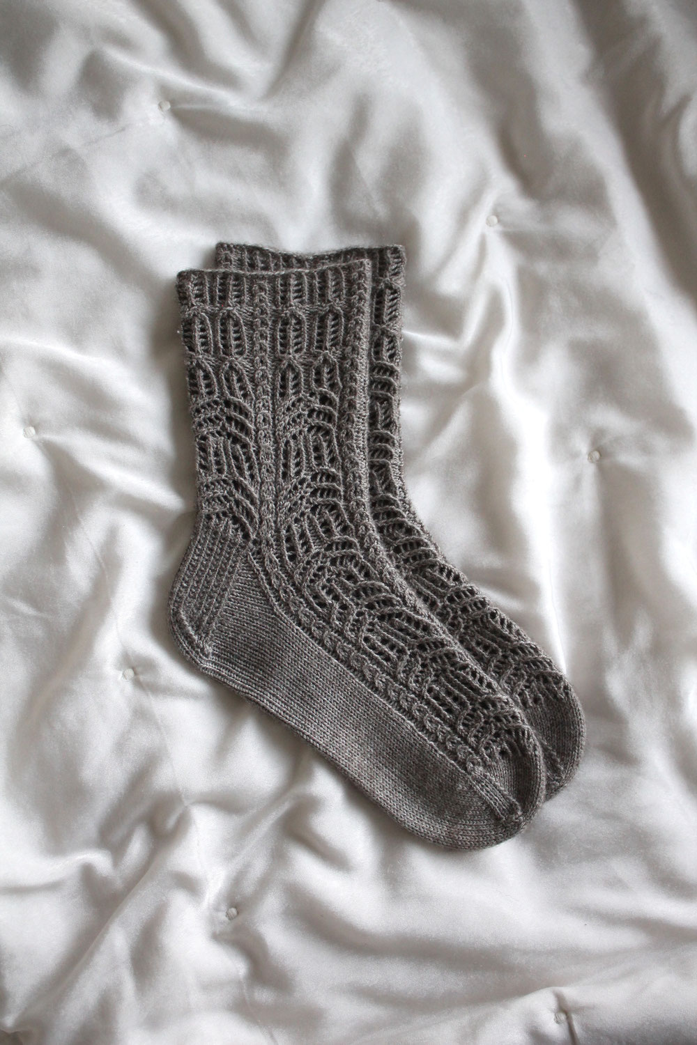 Socks, and your Immune System