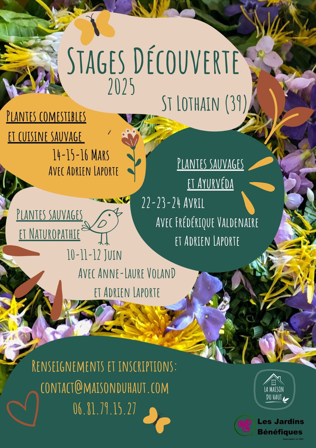 #94 Animations mars et stages plantes sauvages