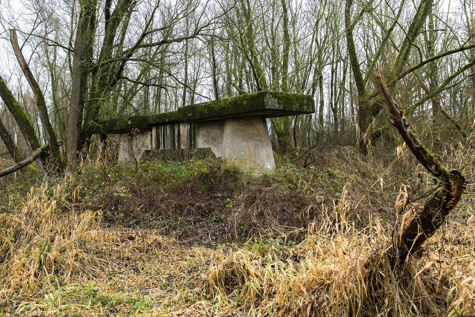 Koude oorlog - NATO brug