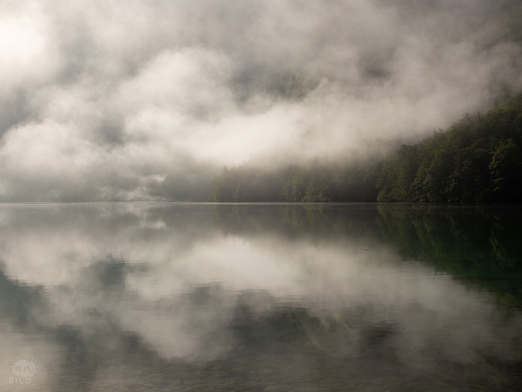 Nebel über dem See