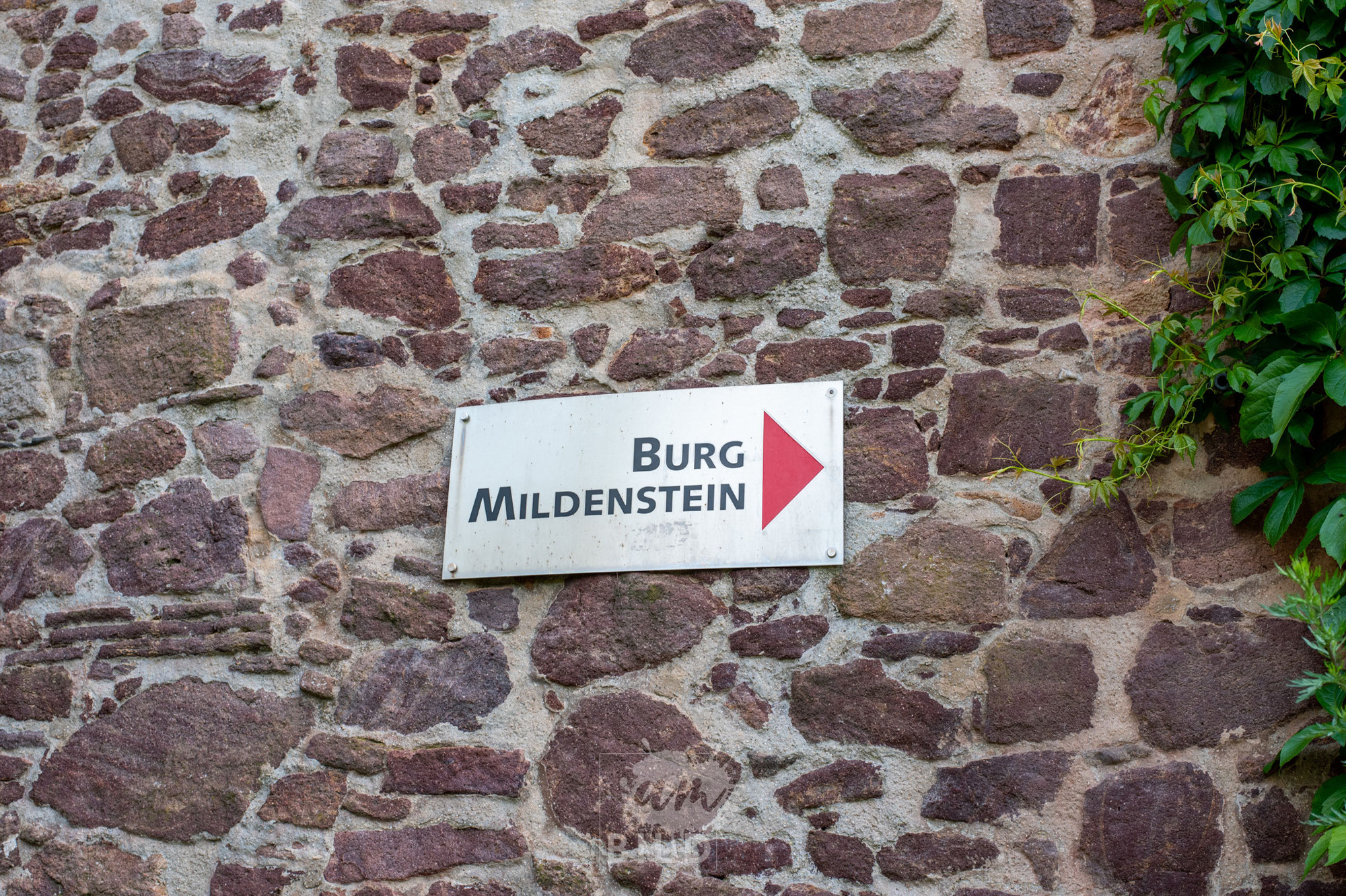 Burg Mildenstein in Leisnig