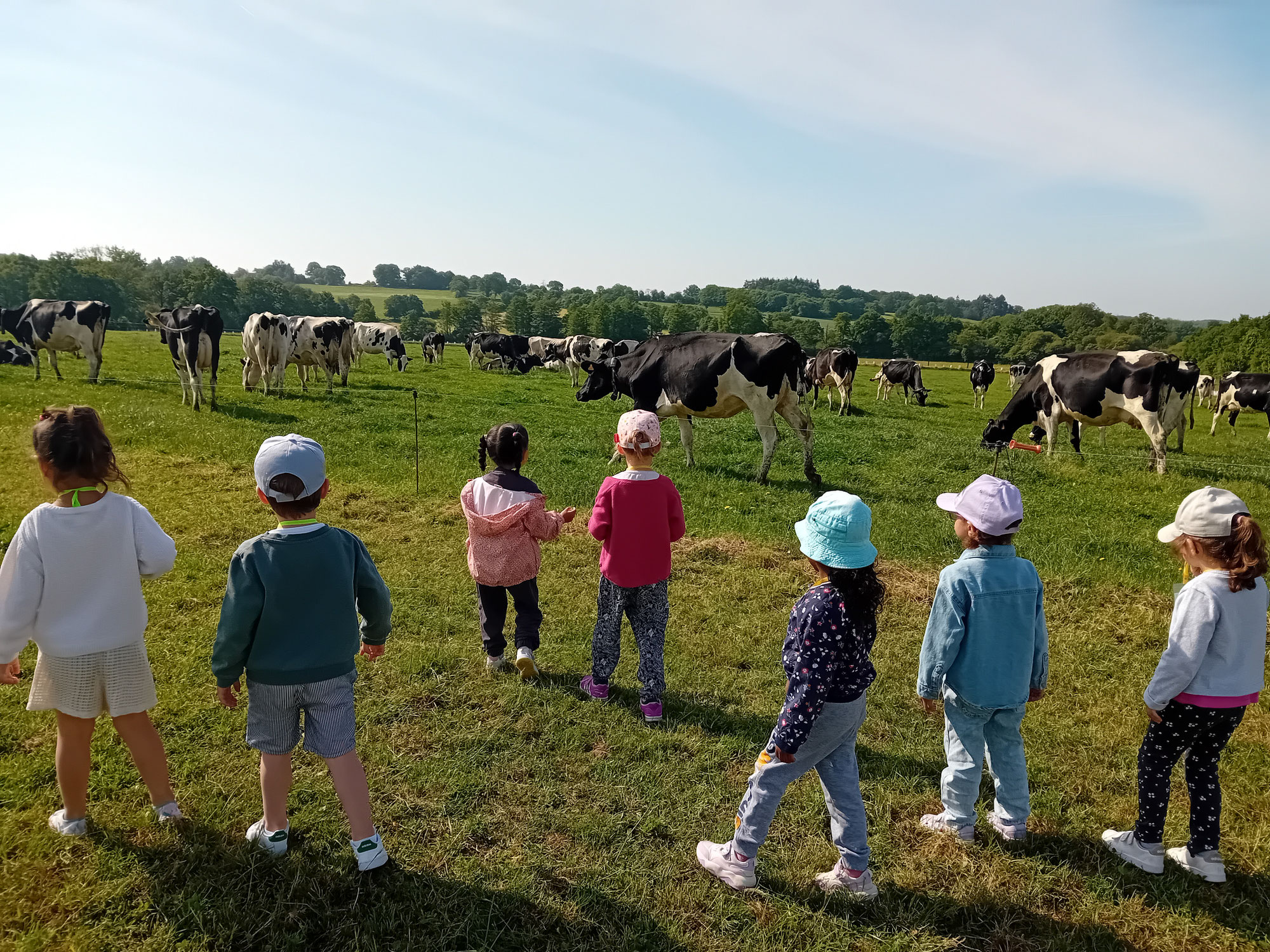 PS/MS - Sortie scolaire à la ferme