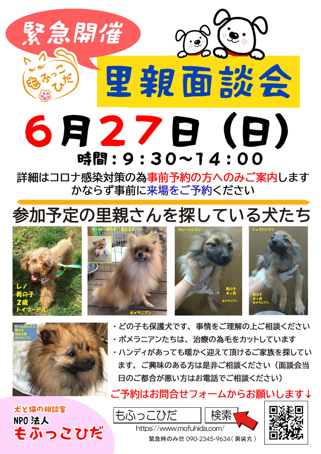 里親募集 犬と猫の相談室 Npo法人もふっこひだ 岐阜県 里親募集 犬と猫の相談室 Npo法人もふっこひだ 岐阜県