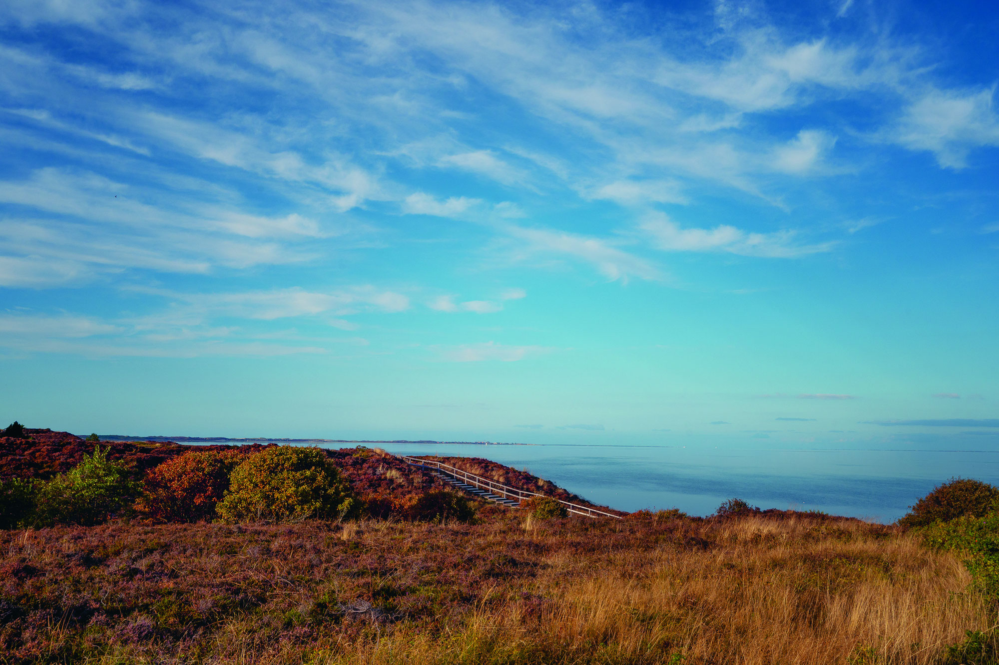 Rauchzeichen aus der Heide