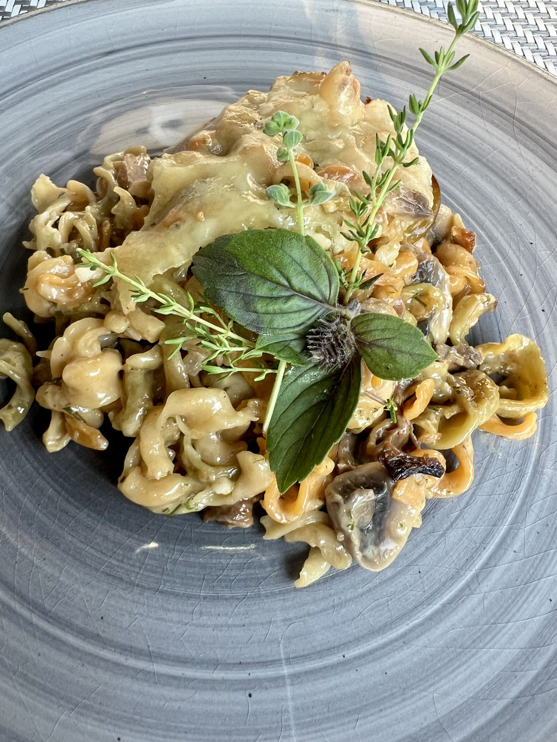 Pasta-Pilz One Pot