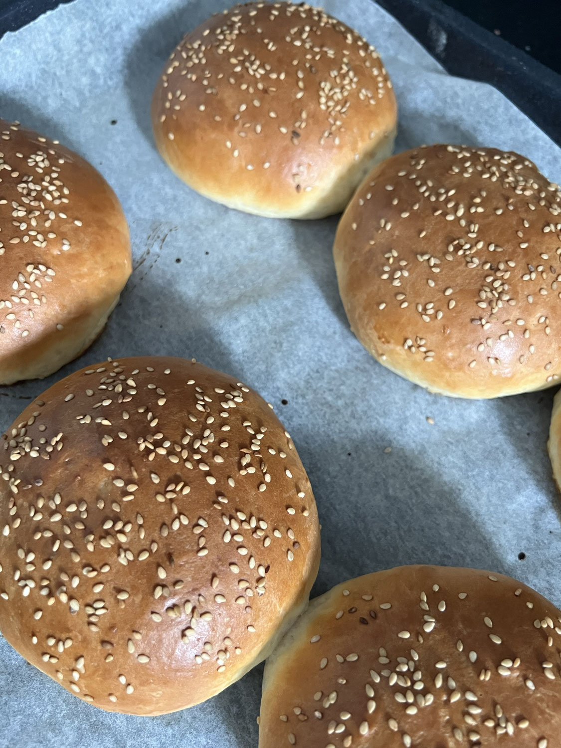 Burger Bun
