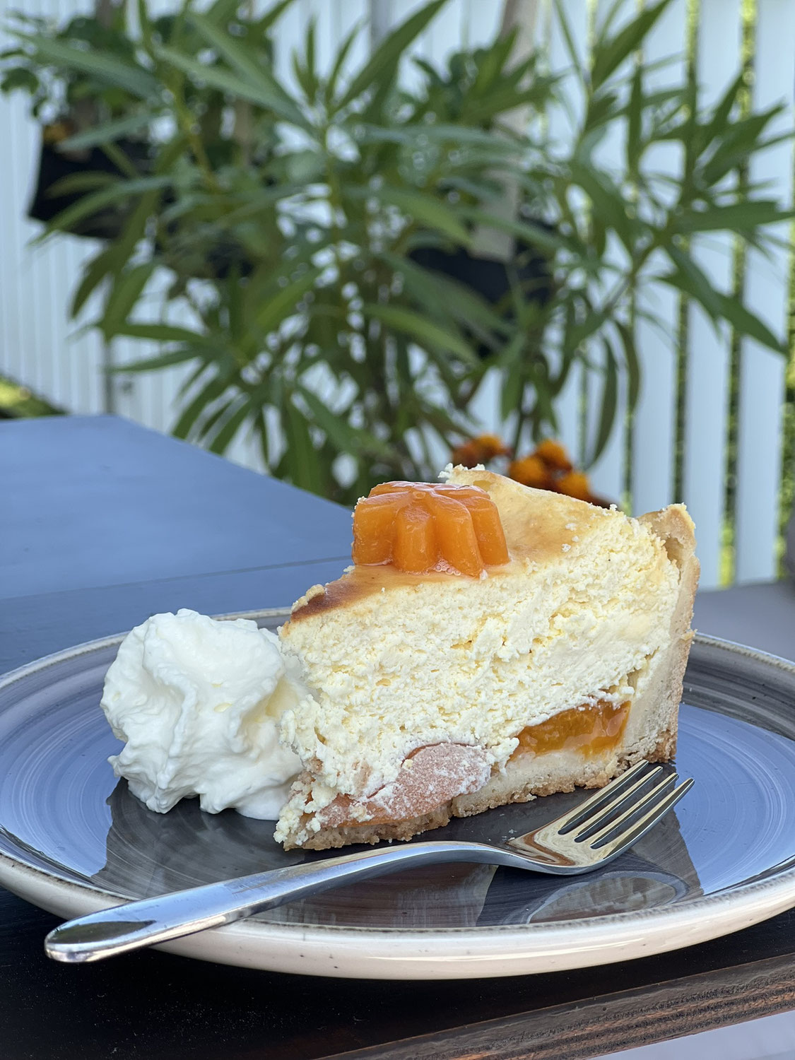 Käsekuchen mit Aprikosen