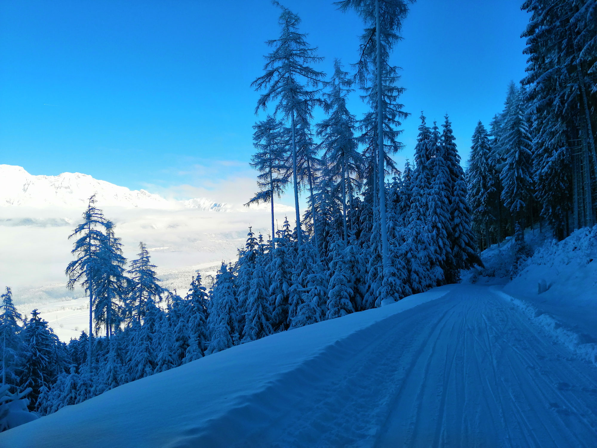 Aktuelle Verhältnisse (15.1.): Rodeln Rinner Alm