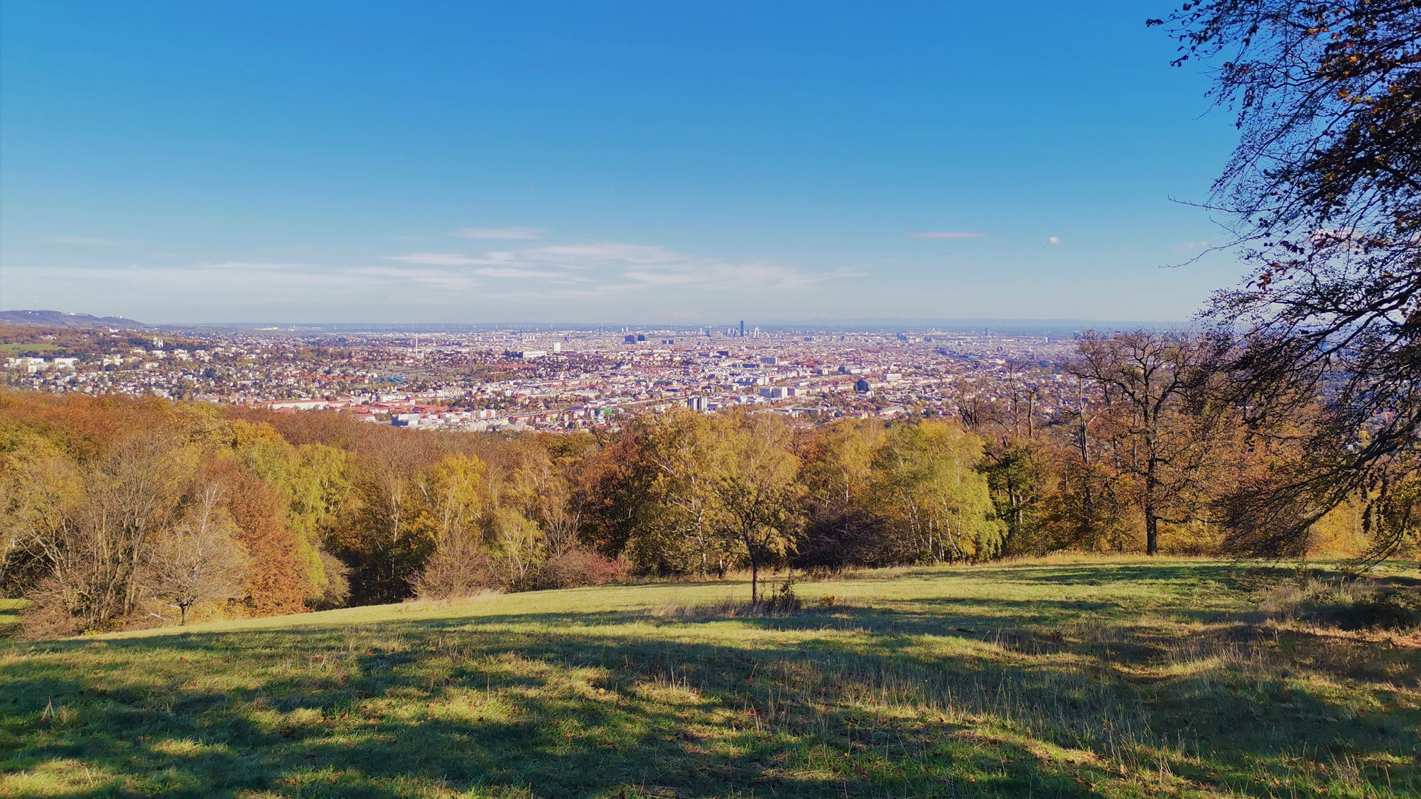 #888 Hubertuswarte - Wiener Blick