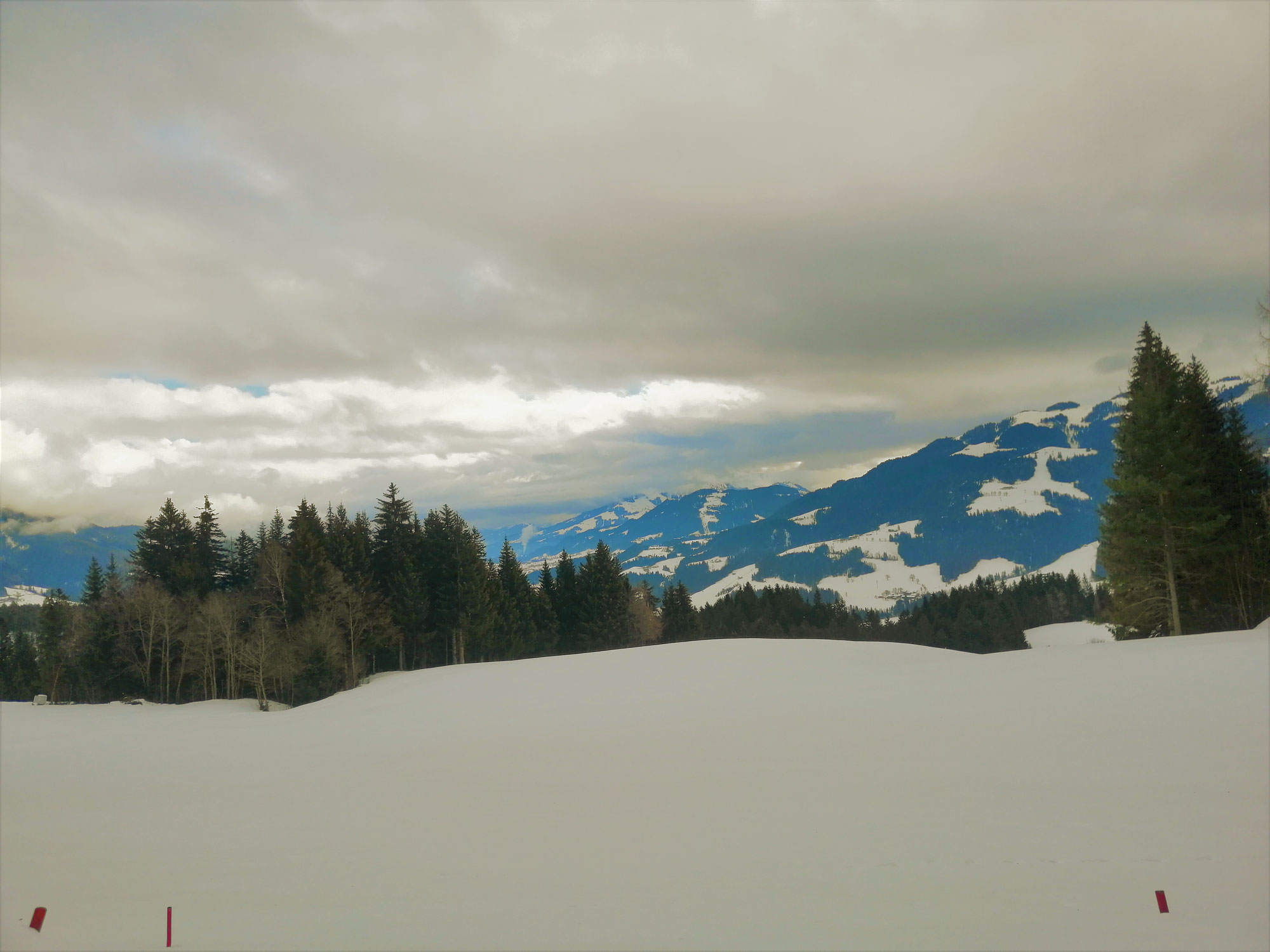 #765 Achleitner Kogel