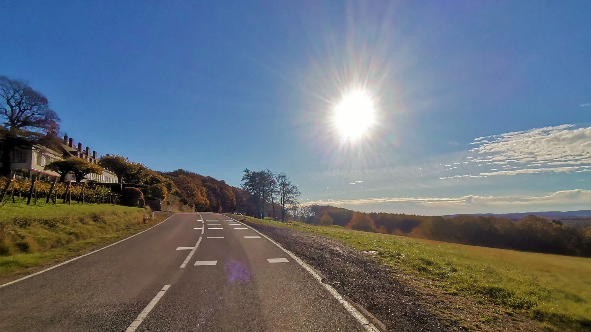 #890 Rennrad-Tour Tulbinger Kogel