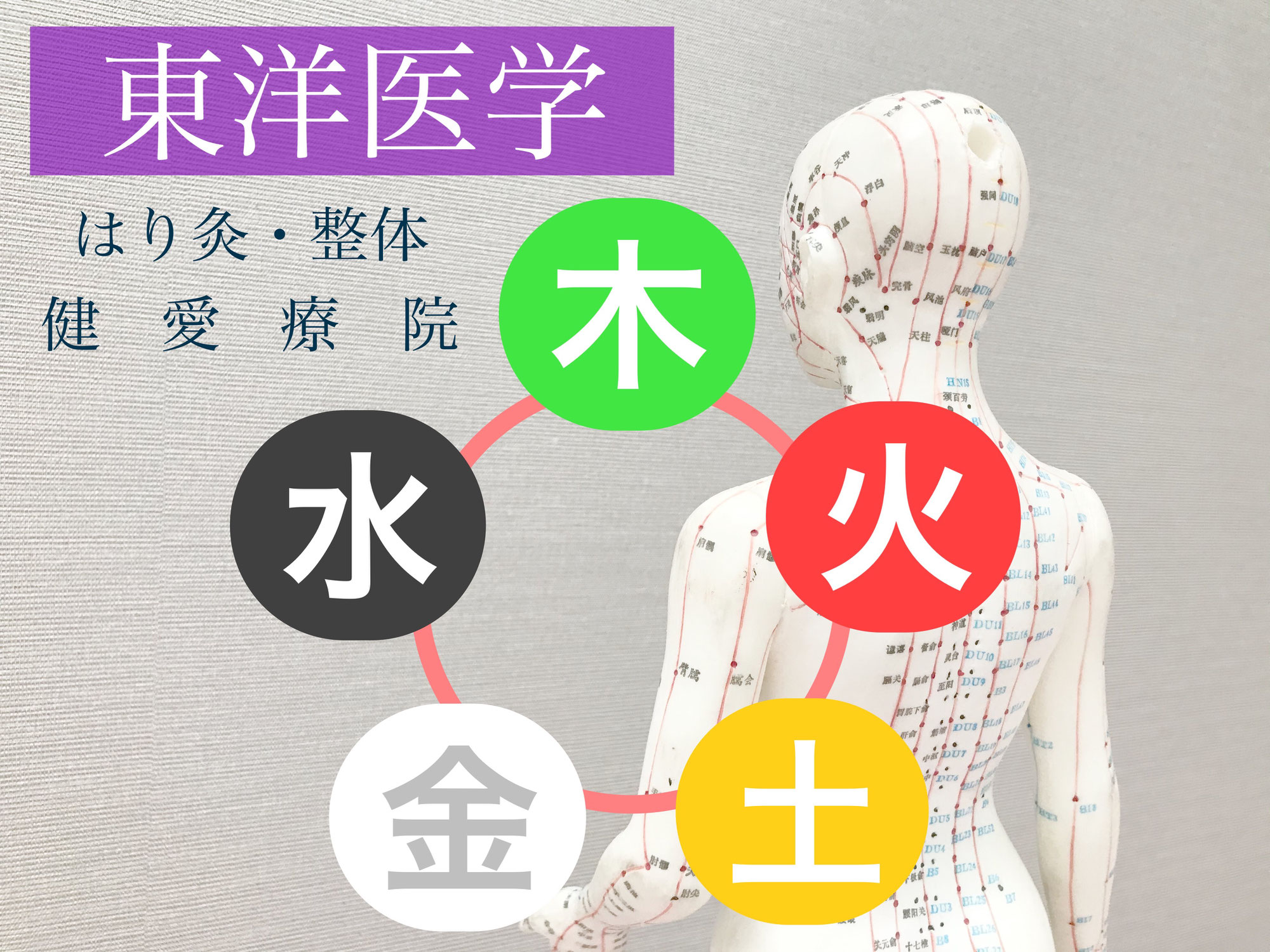 東洋医学について、陰陽五行論の考え方。