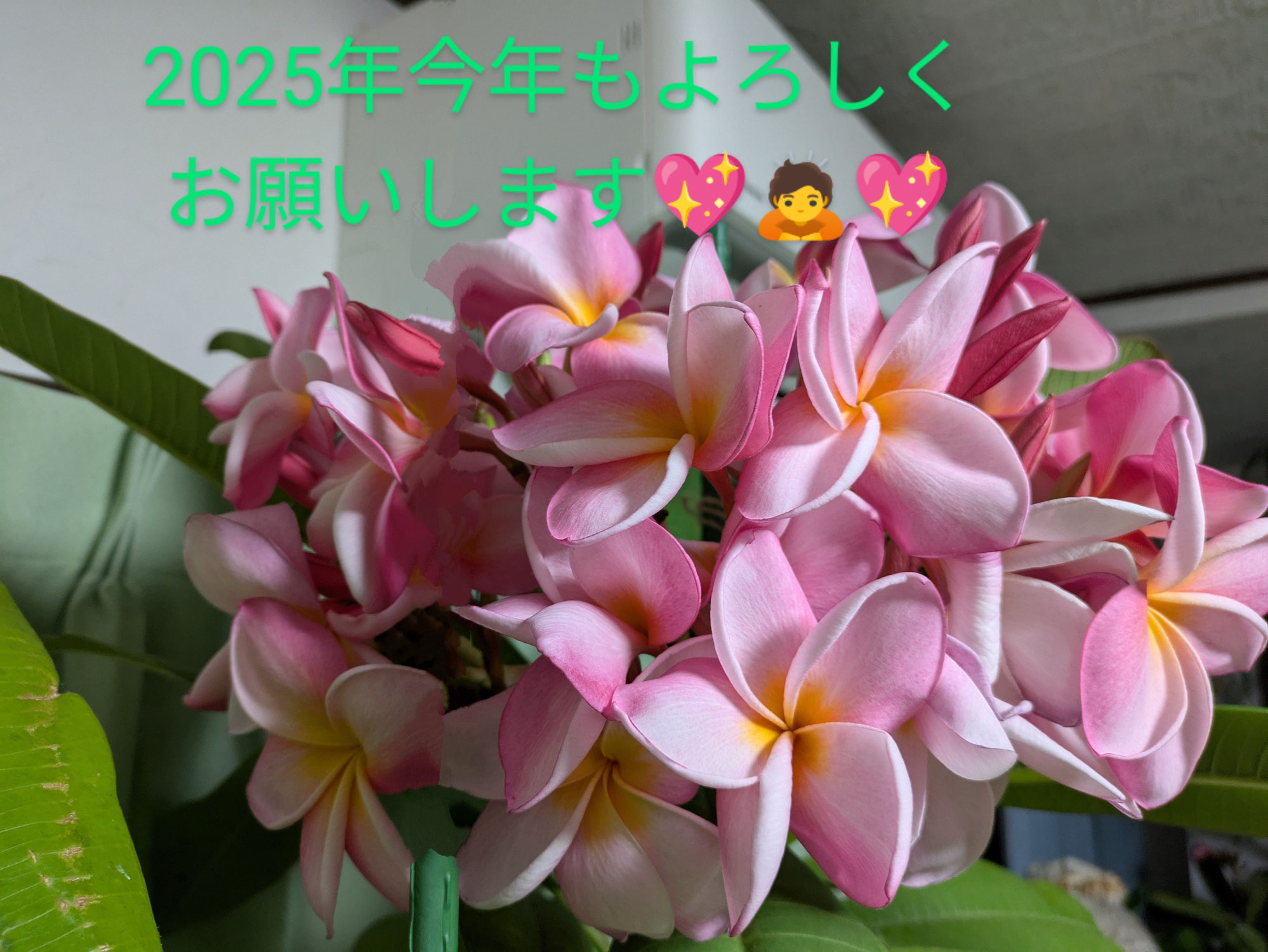 2025年、今年もよろしくお願いします。
