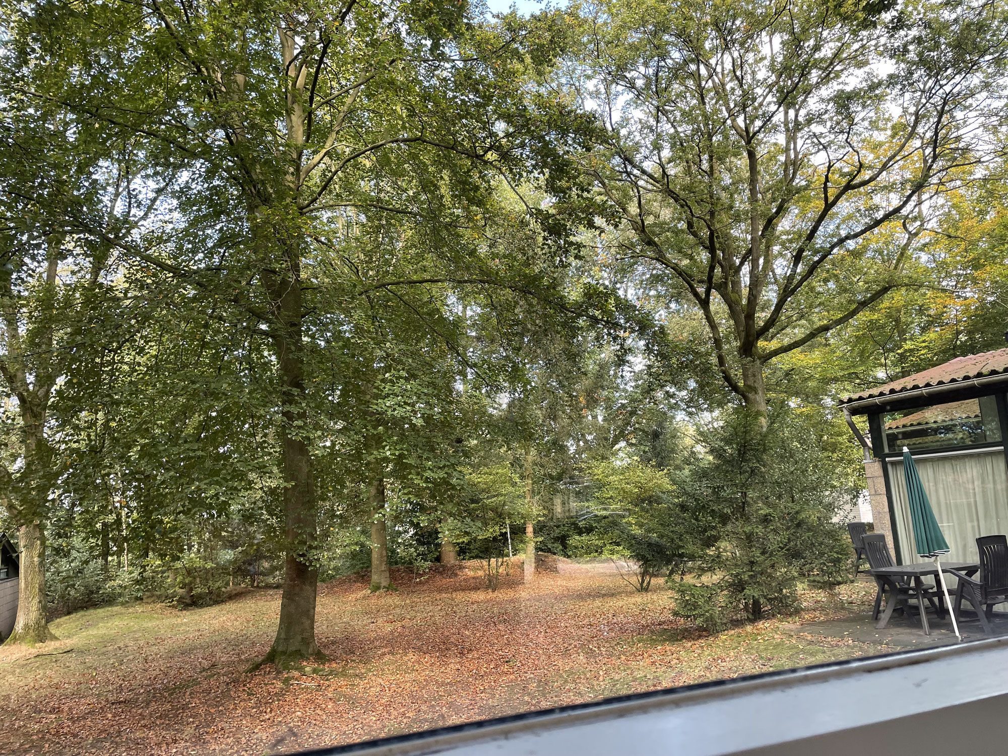 Weekje alleen in Limburg