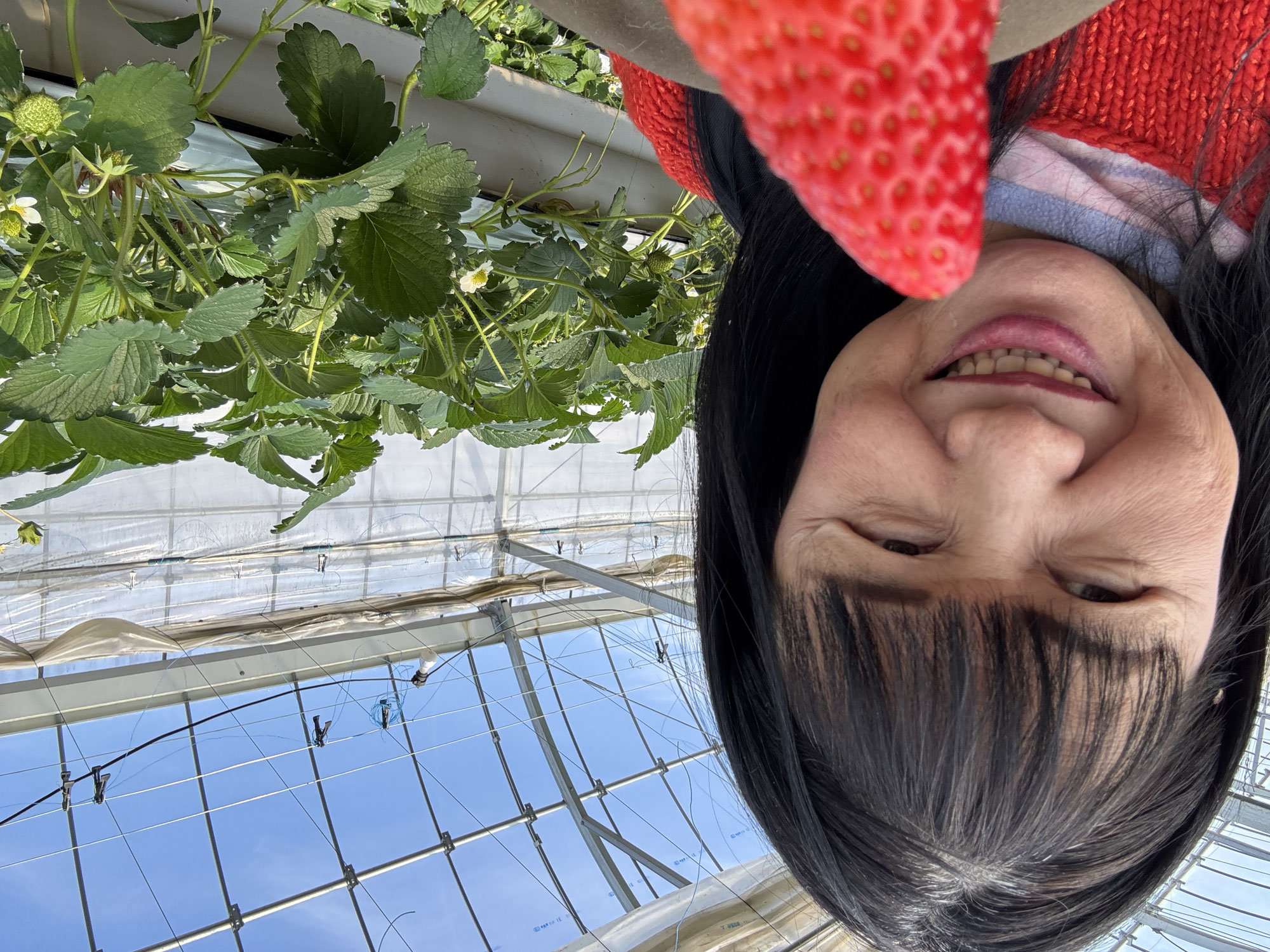 三橋里絵、日帰りバスツアーに行く2
