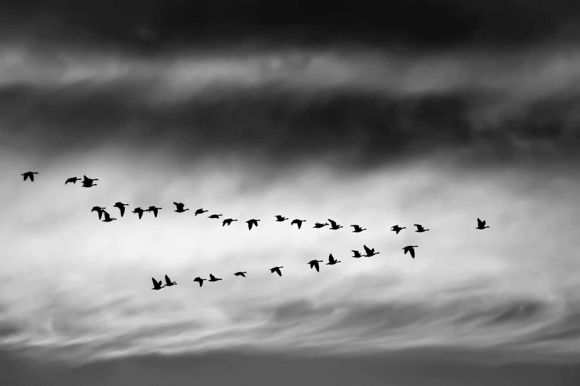 The Journey by Mary Oliver