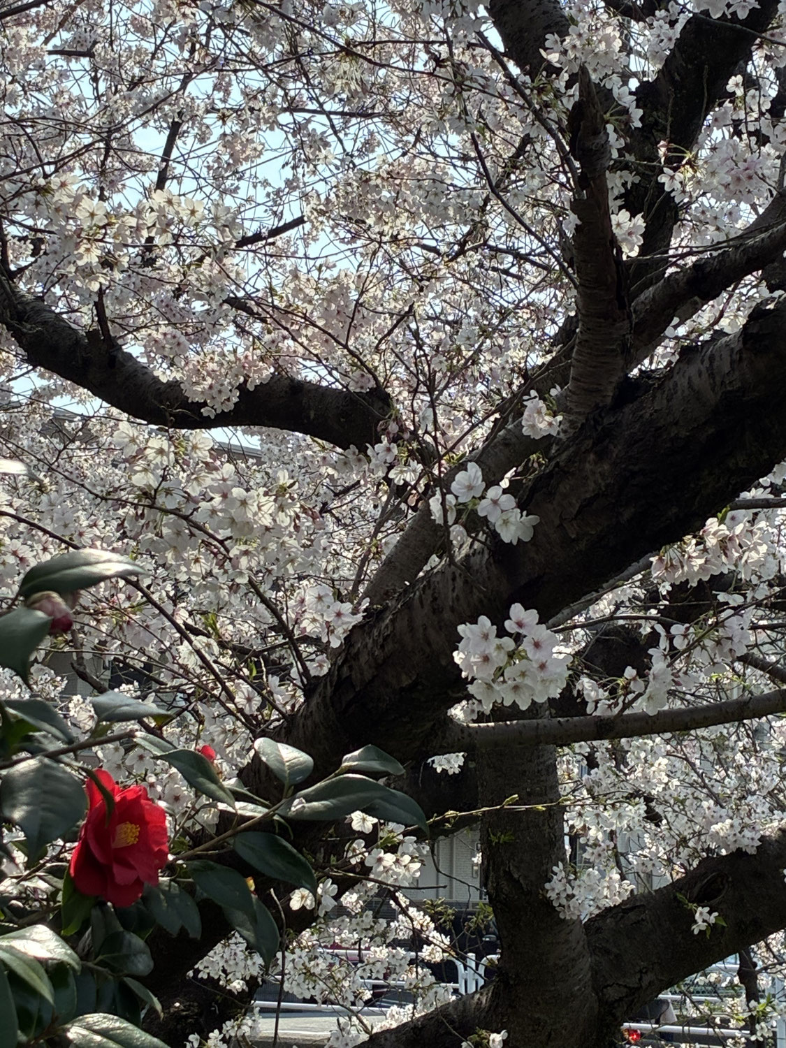 年度末に寄せて