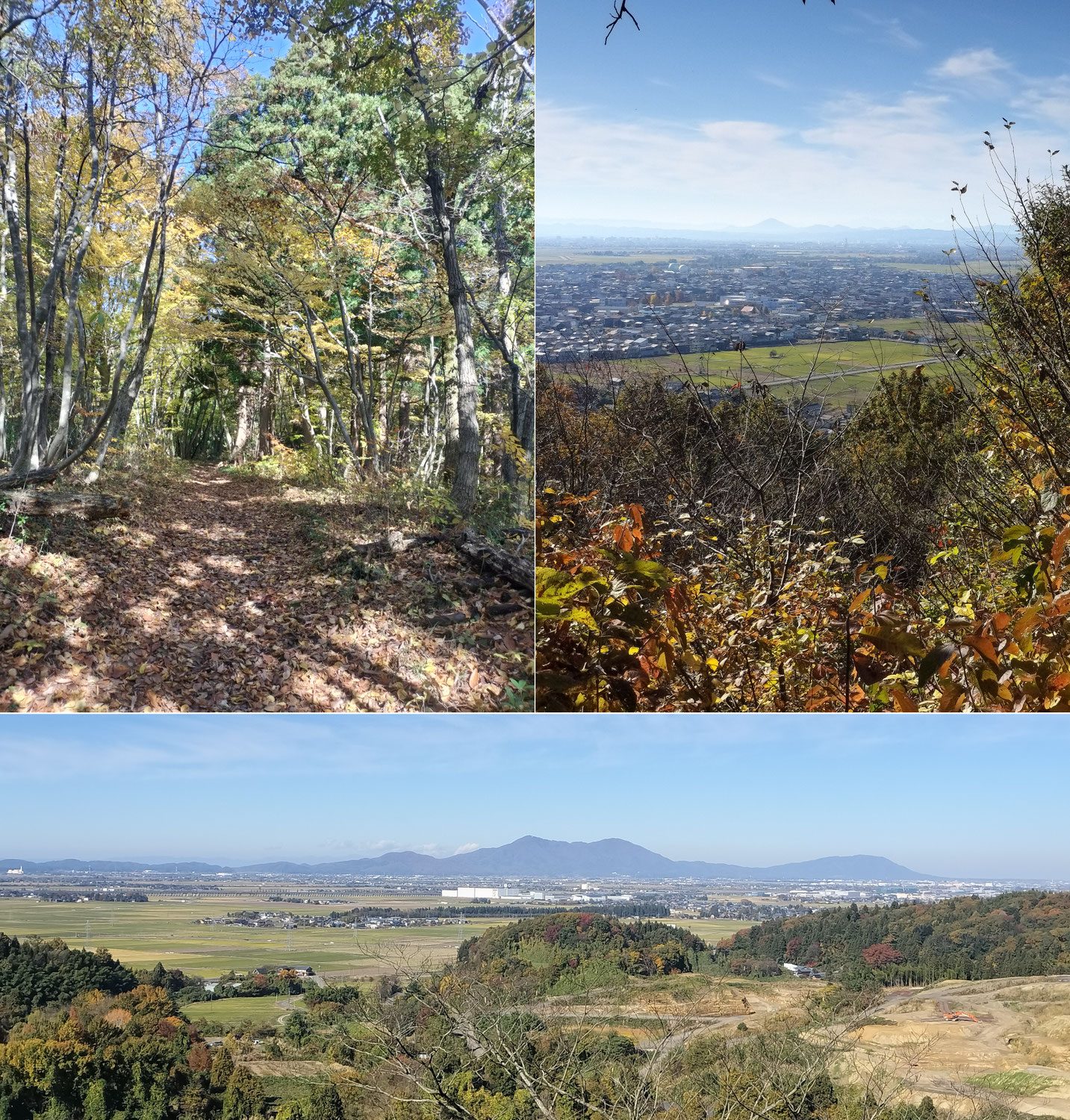 久々の地元での低山(標高153m)ハイク
