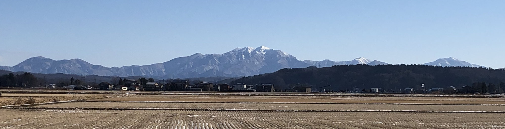 新年おめでとうございます