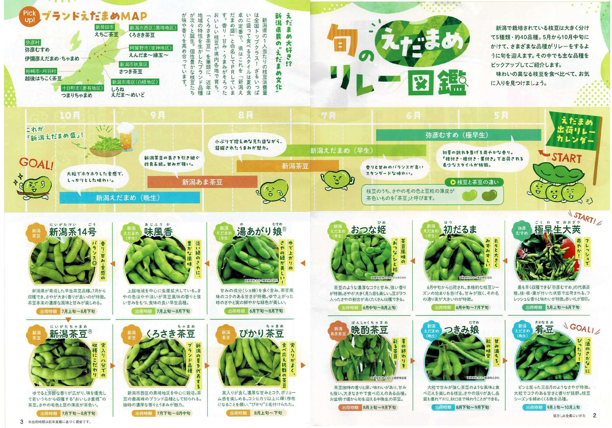 新潟日報社ふれっぷの枝豆図鑑