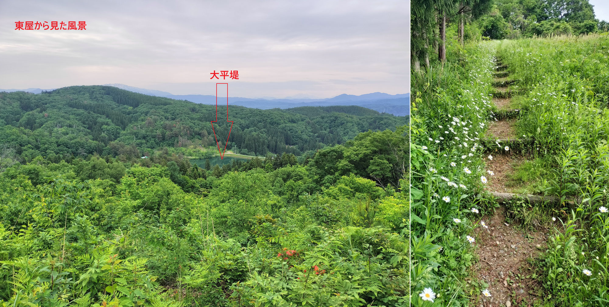 地元の大平森林公園について