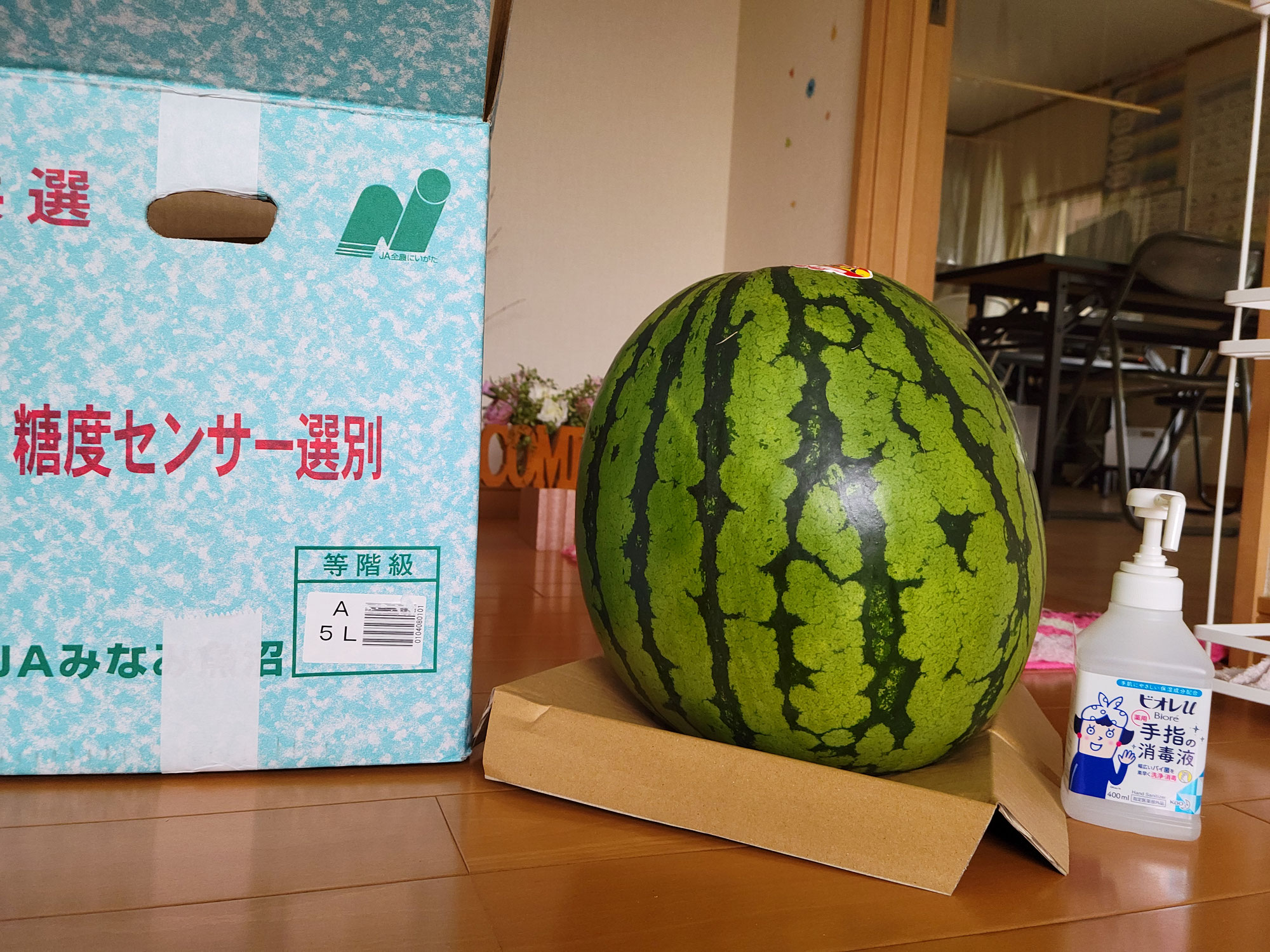夏の思い出