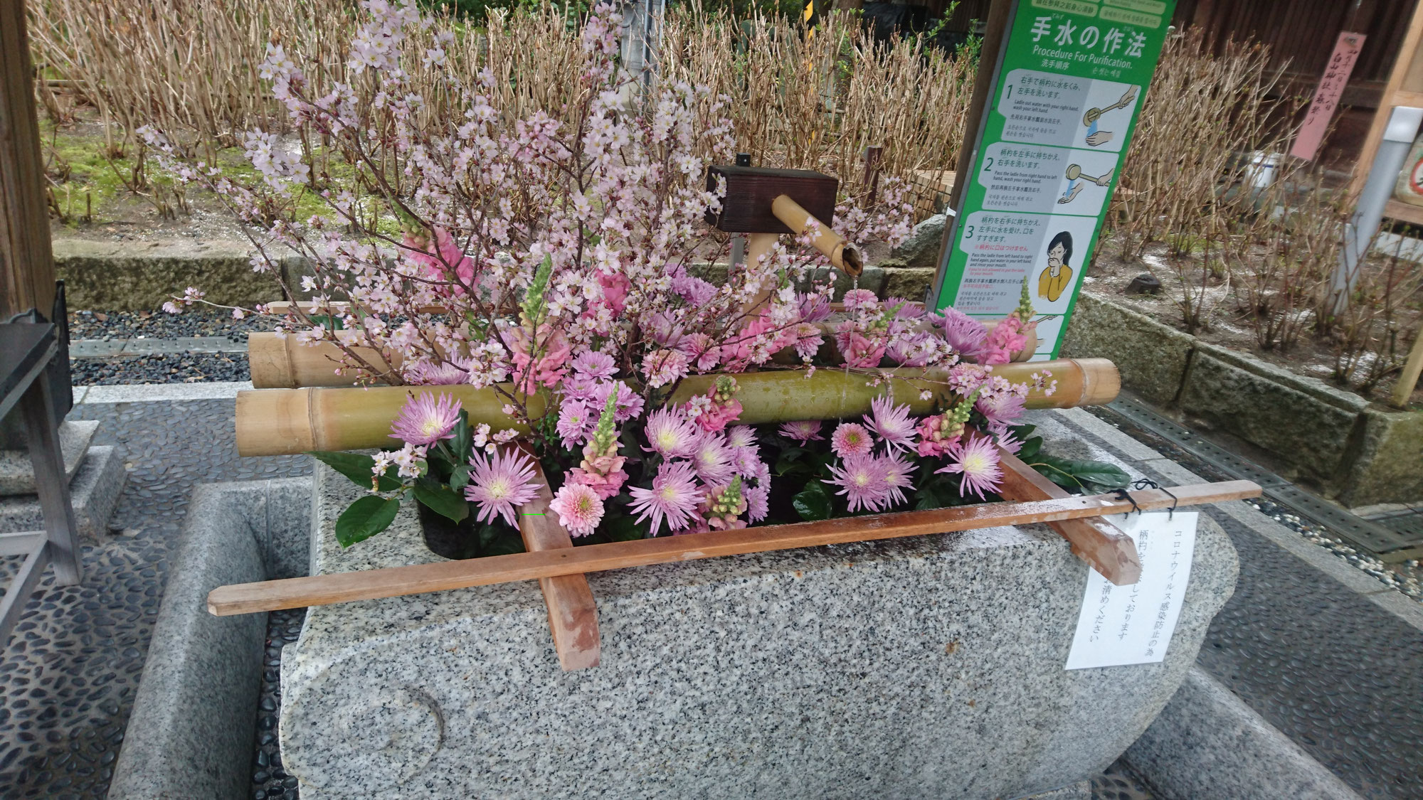 梅が✨