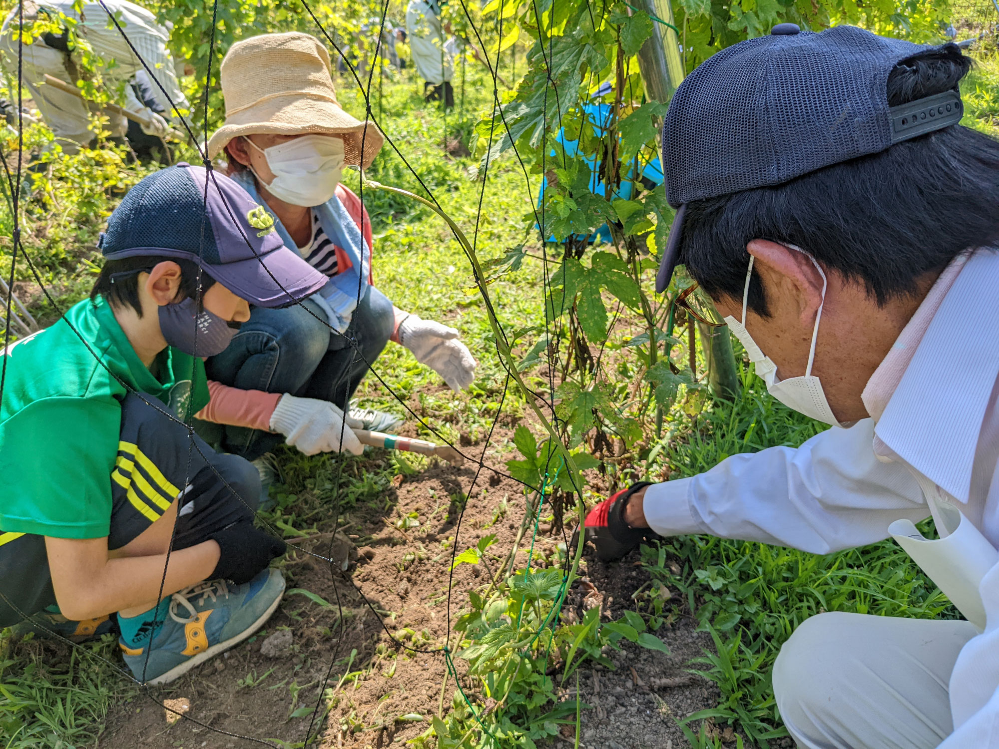 【佐用町江川地域づくり協議会】現地活動支援２