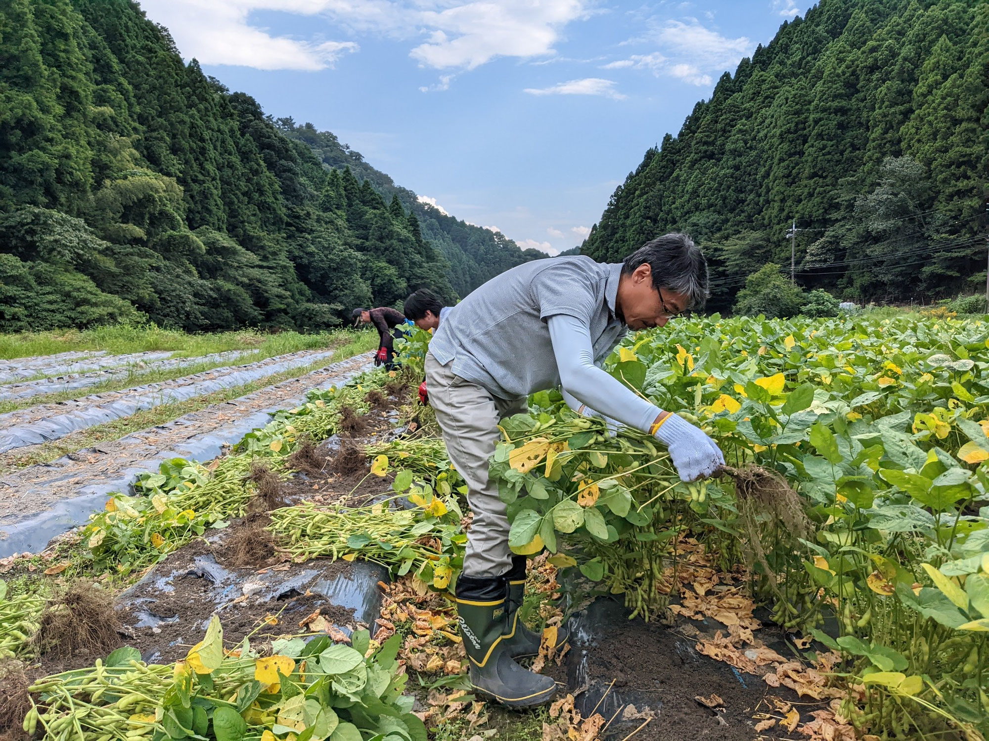 【朝来市上八代集落】現地活動支援１