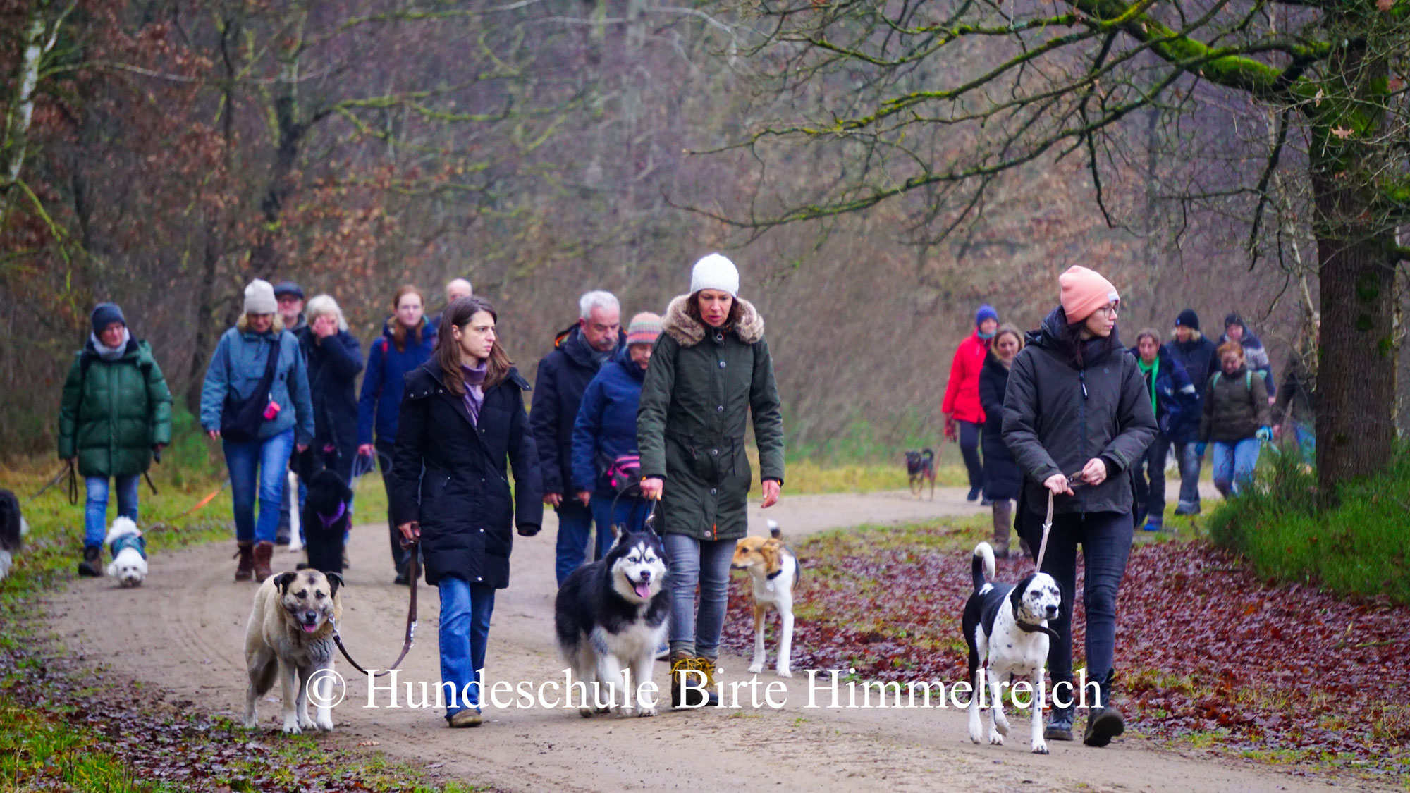 Winterwanderung in der Lüneburger Heide