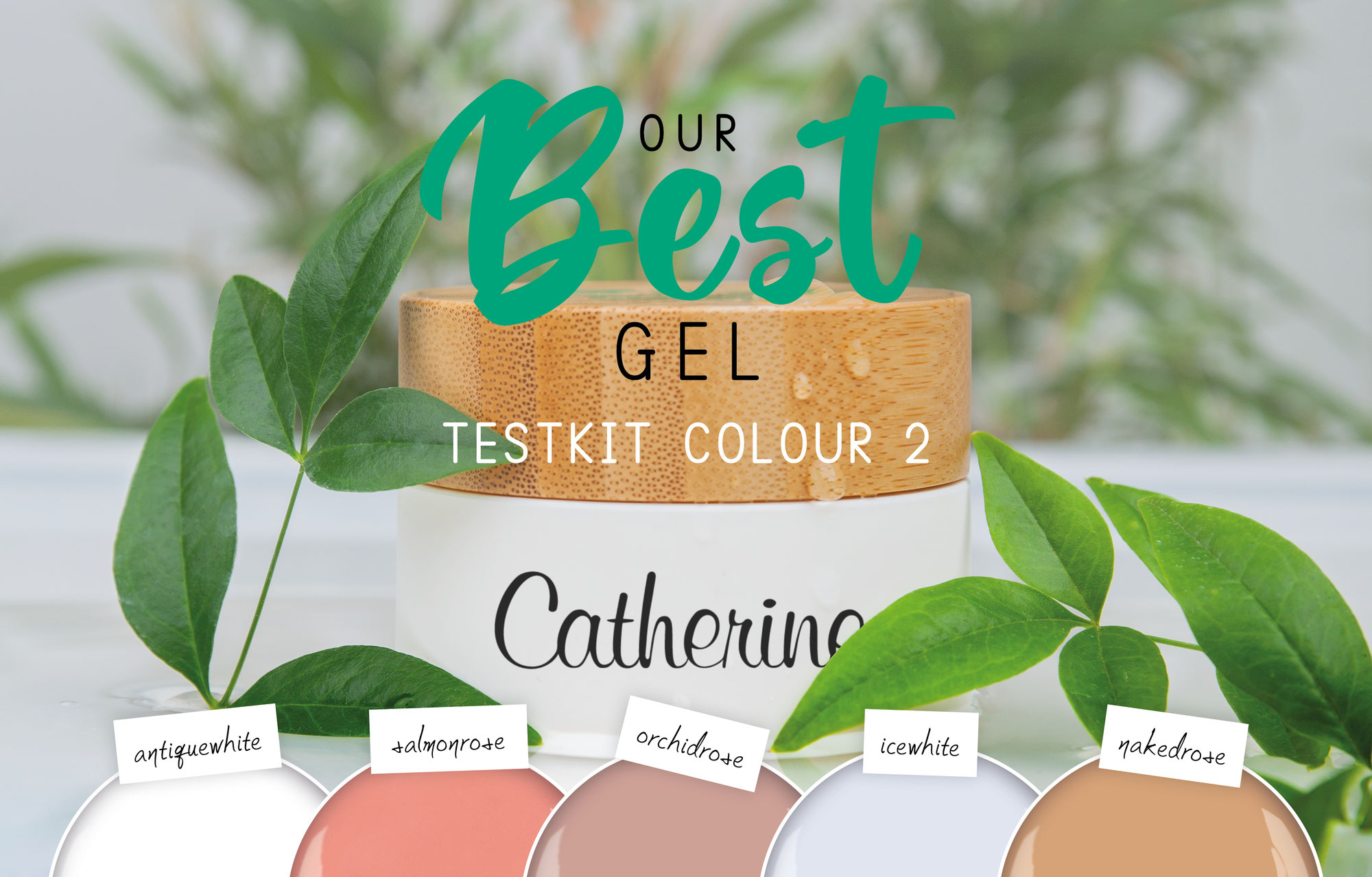 Our Best Medium Testkit Colour 2