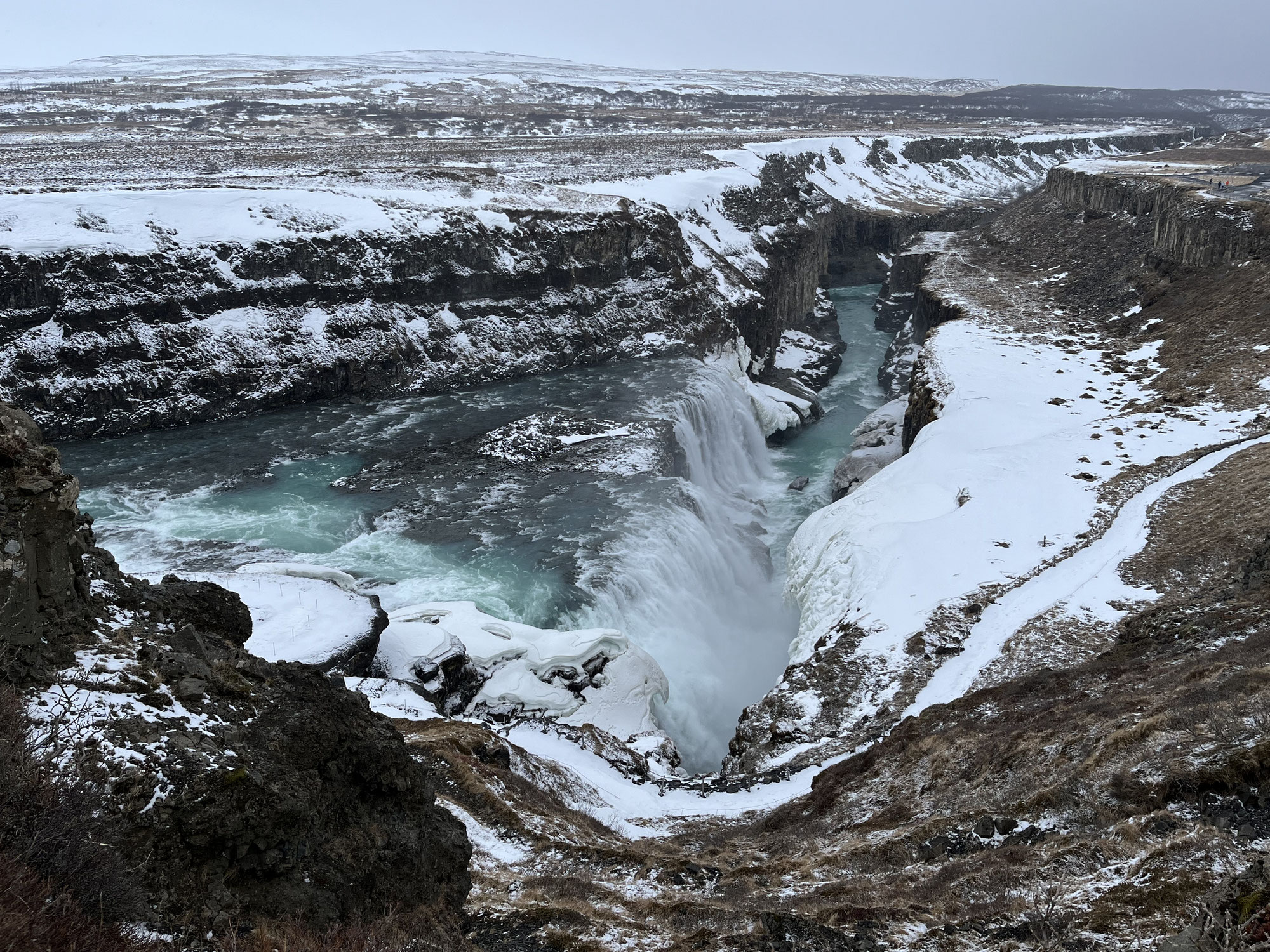Émbrasser l'Avenir avec Sagesse : Une Formation E-learning Inspirée par l'Islande