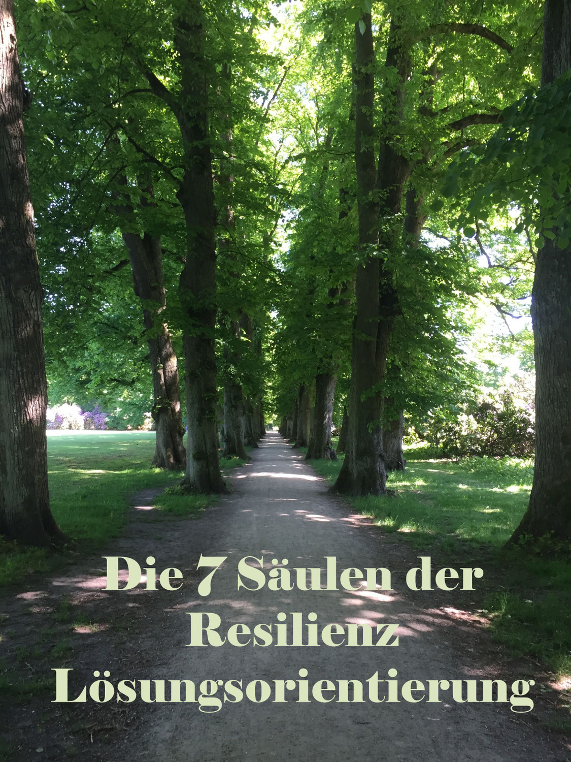 Die 7 Säulen der Resilienz => Lösungsorientierung