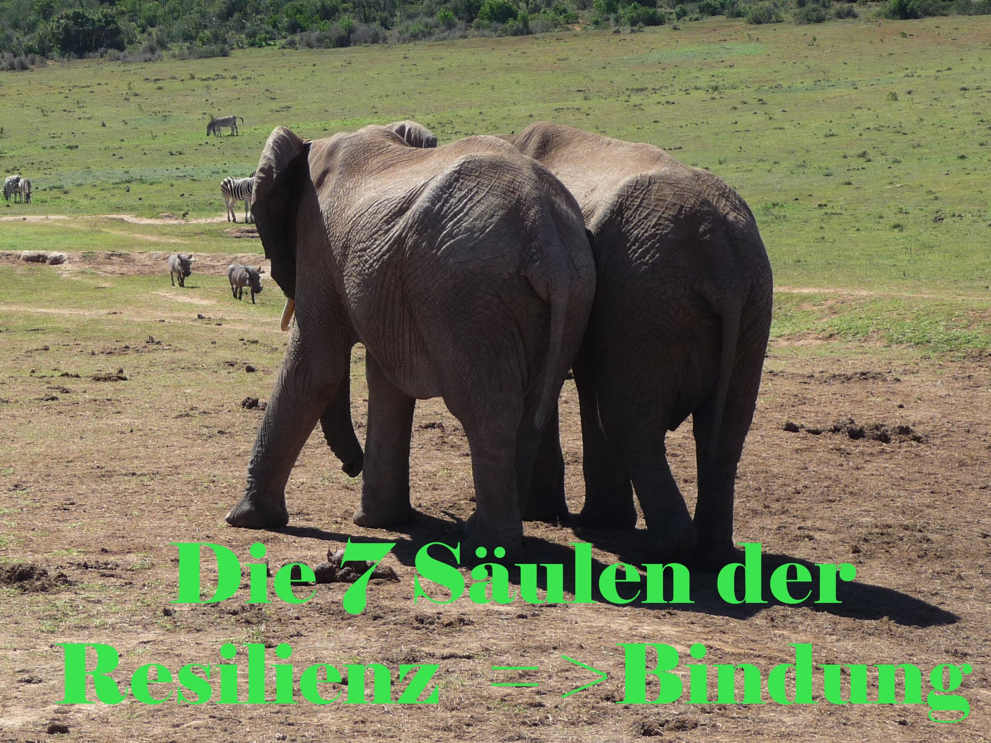 Die 7 Säulen der Resilienz => Bindung