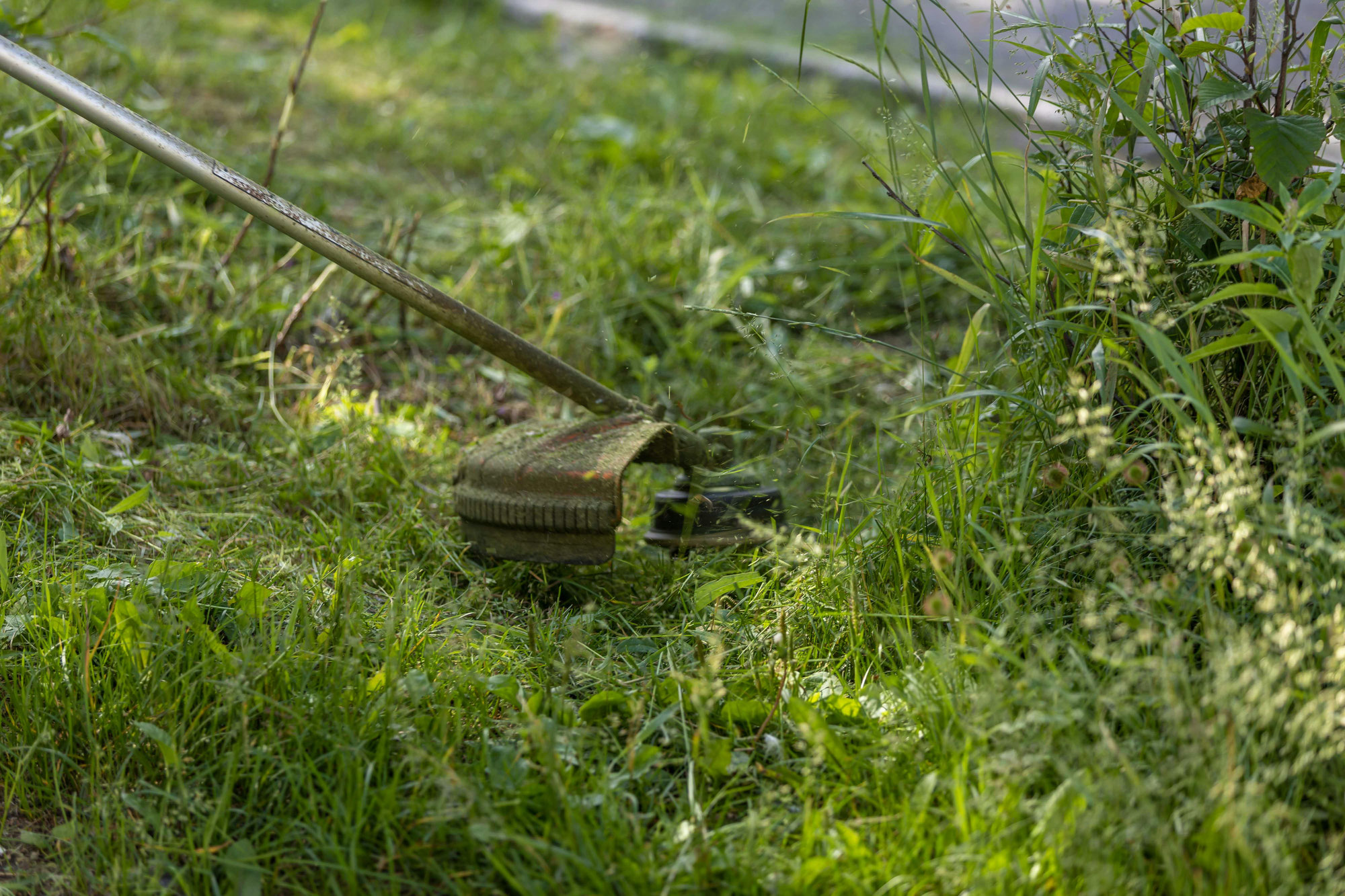 Biotoppflege-Einsatz Appenberg - Mahd