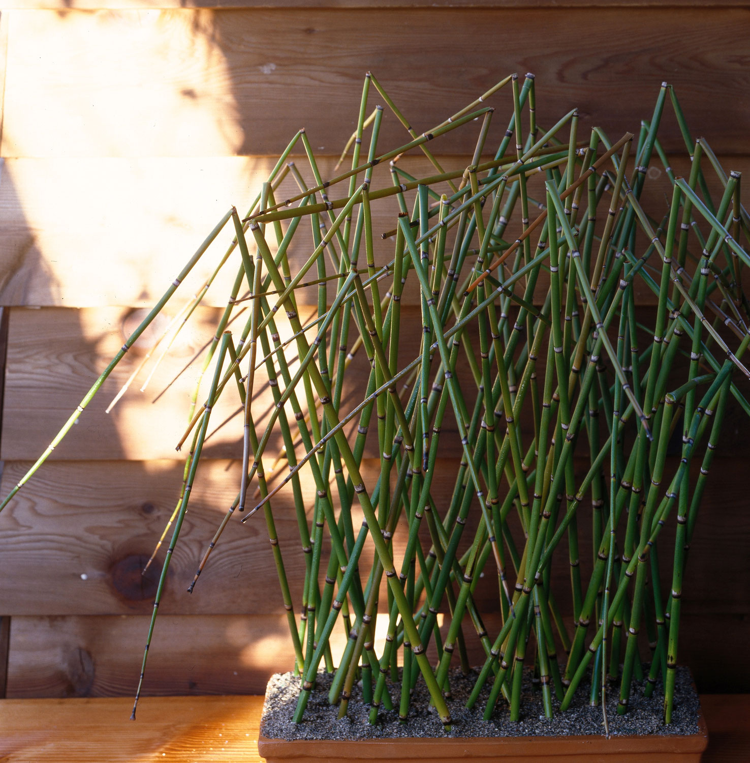 How to go to HANA AMI - フラワーデザインプロデュース 花阿彌