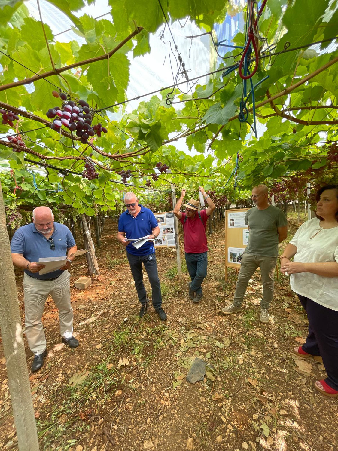 Italia ortofrutta è alla visita guidata presso APOC O.P.