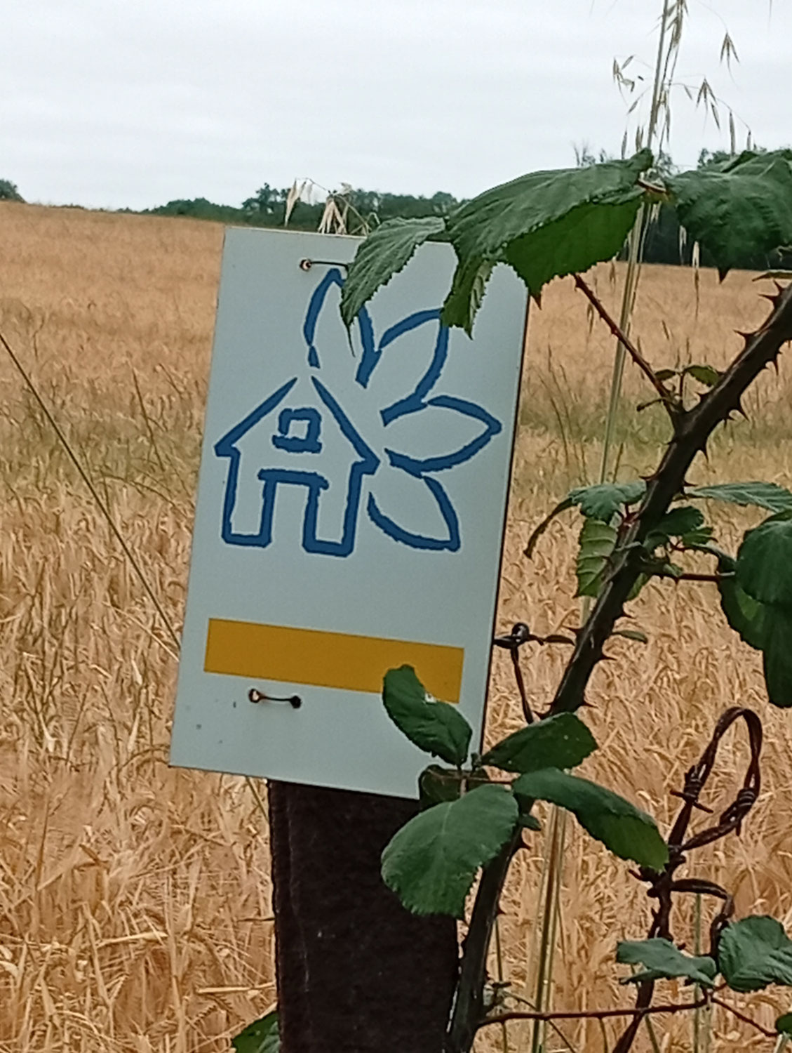 Les Oustalous (Pampelonne)