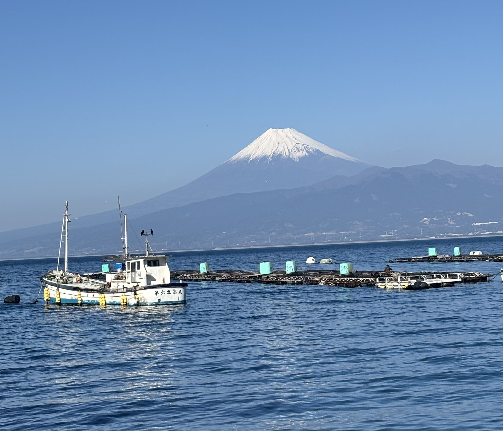 1月の富士と海