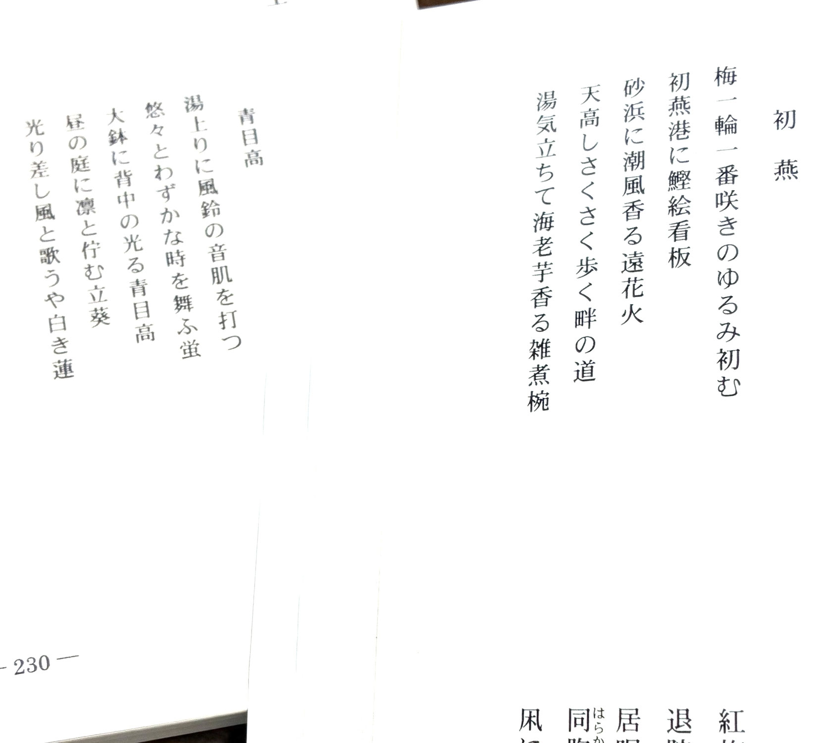 文芸やいづ 俳句部門で入選