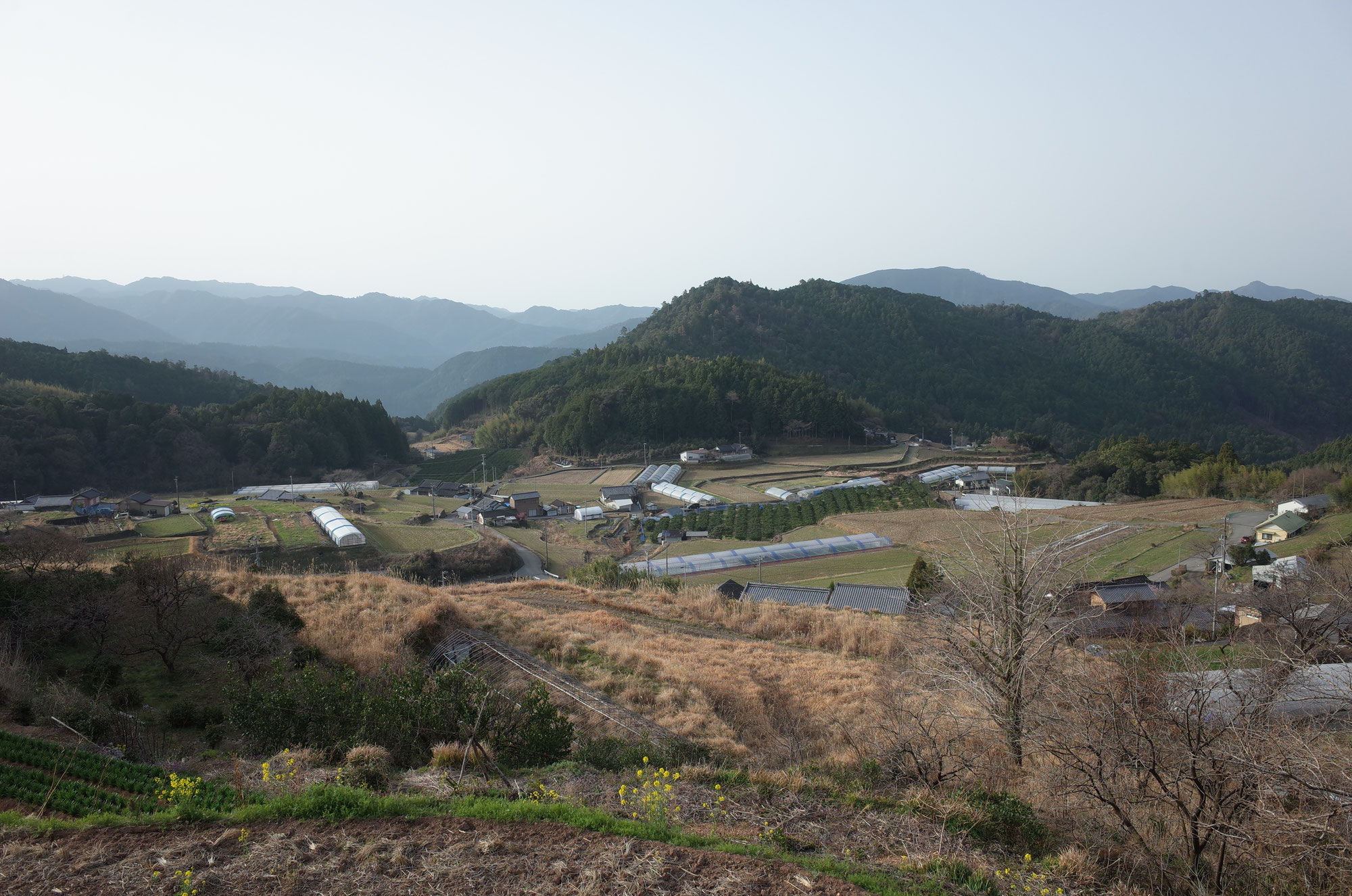 みどりの通信　2025年4月号　ようやく、春／春の旅