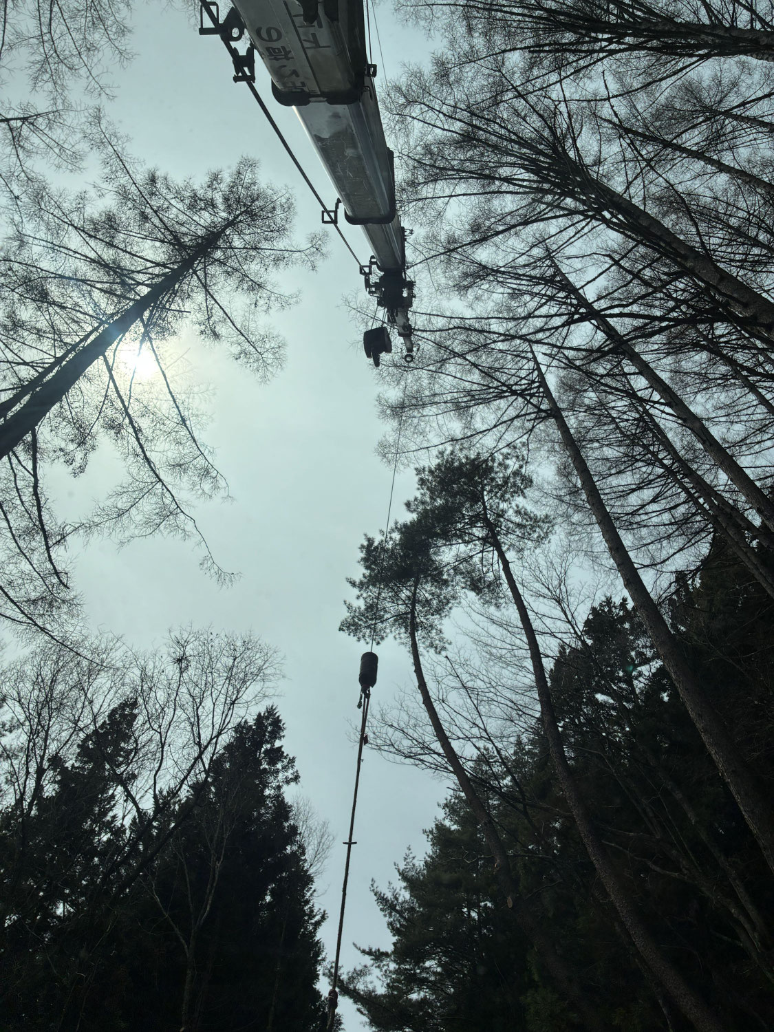大鹿村でのクレーン作業