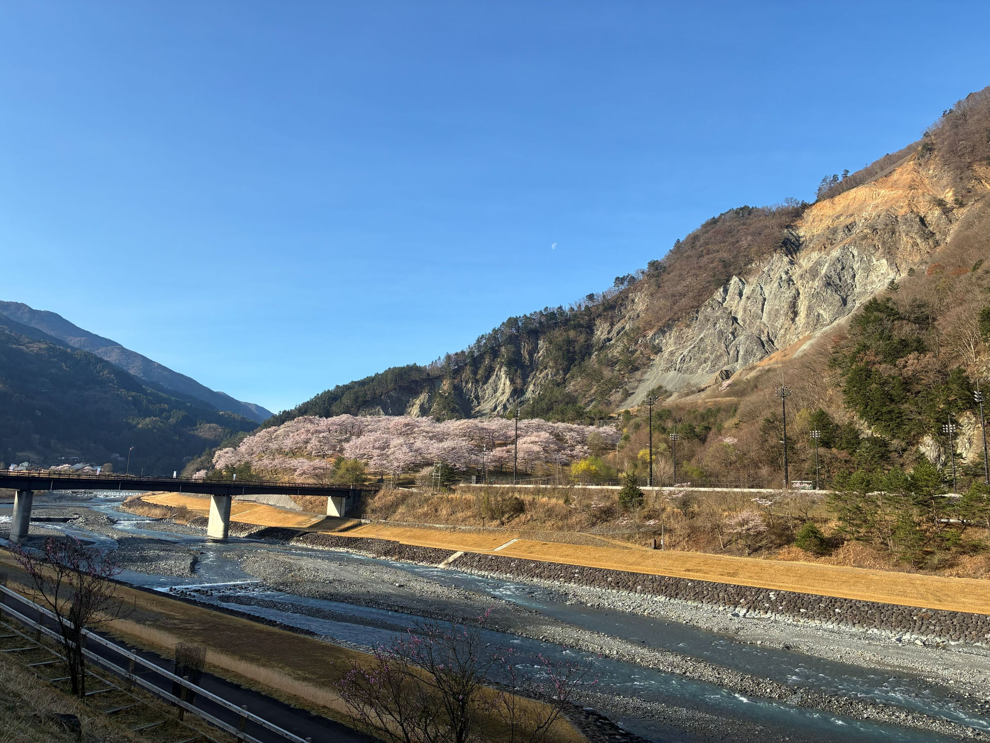 大鹿村での仕事