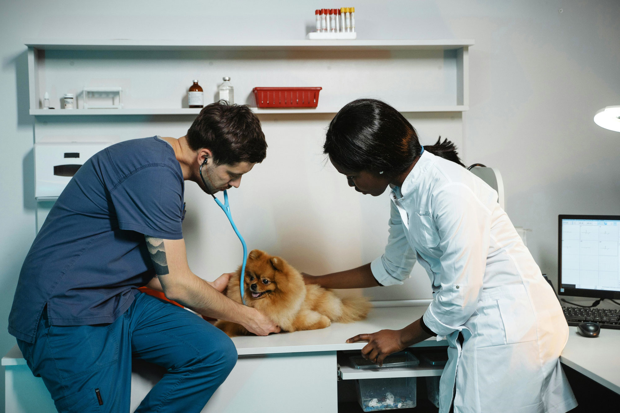 L'importance des bilans de santé réguliers