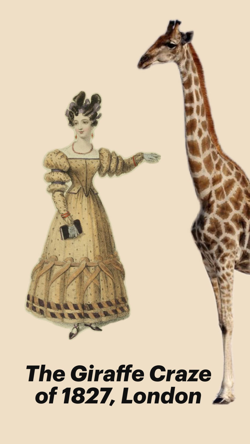 The Giraffe Mania of 1827 London - Animals in Fashion