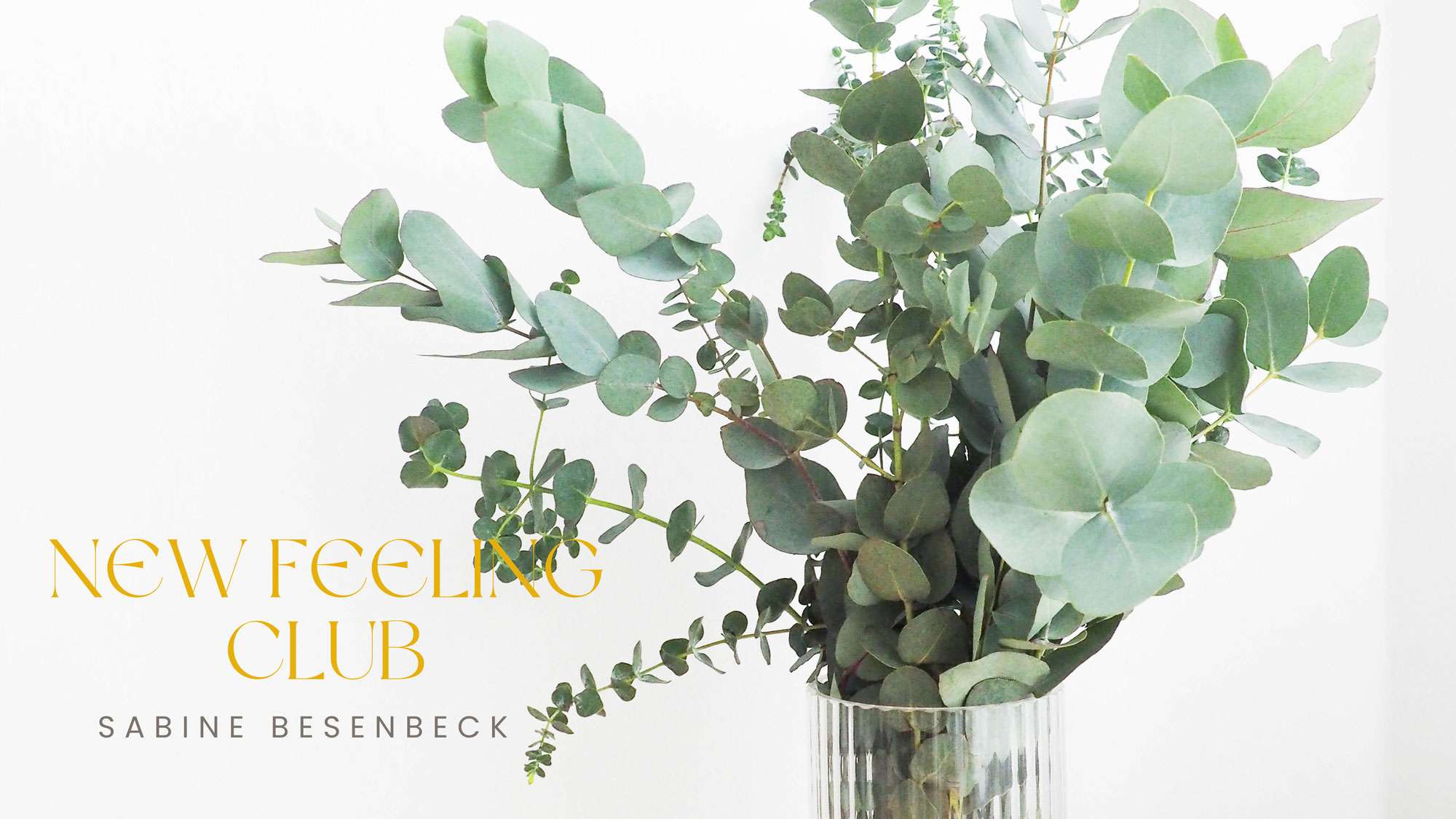 NEW FEELING CLUB - Übernehmen der Verantwortung