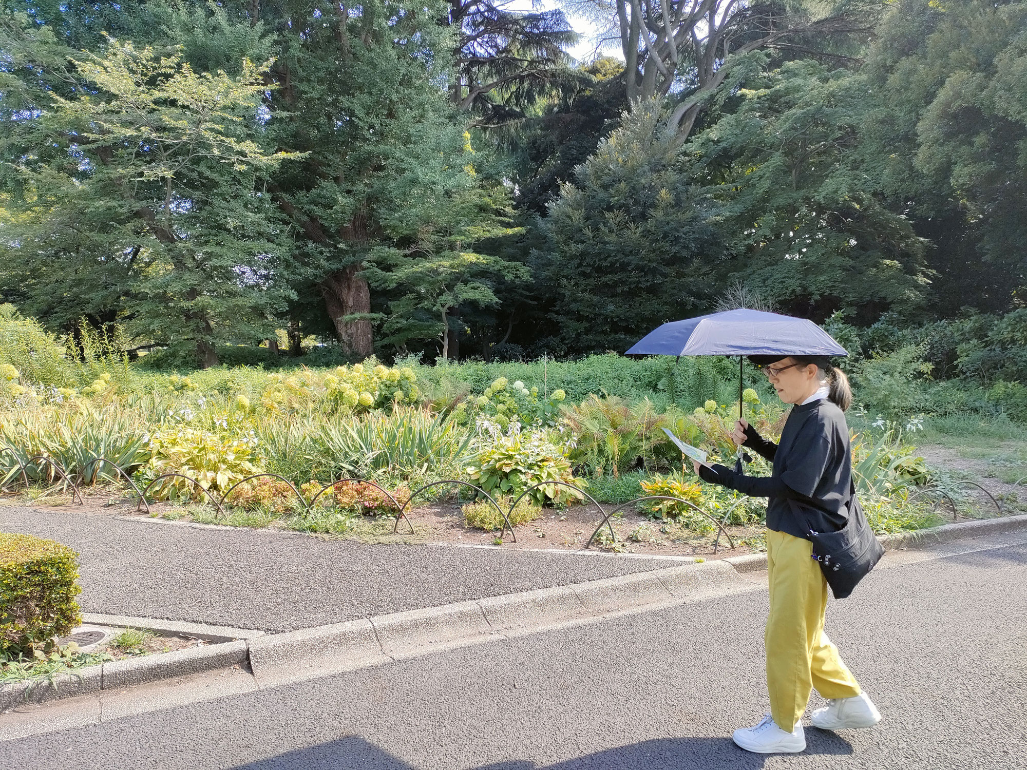 「新宿御苑」へ行きました。