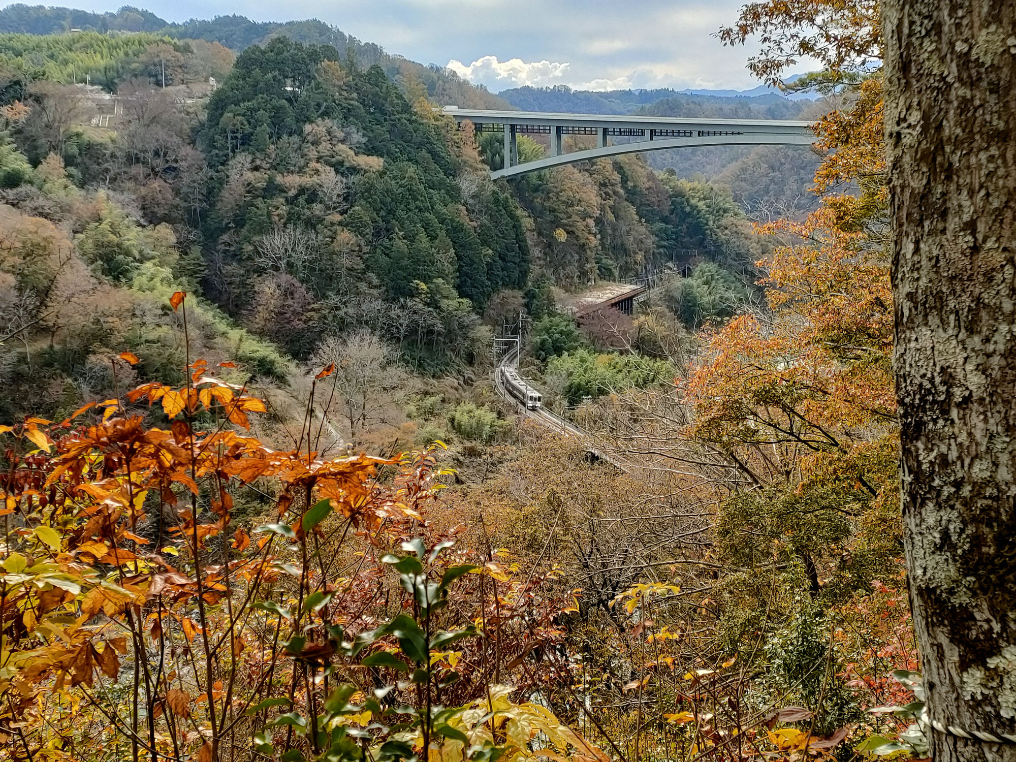 天龍峡の紅葉